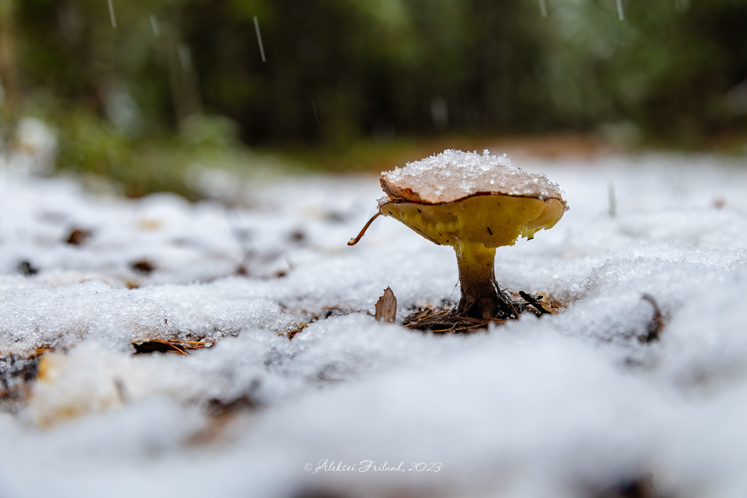 Природа Карелии. Аэросъемка. Фото и Видео в Карелии. Алексей Фрилунд