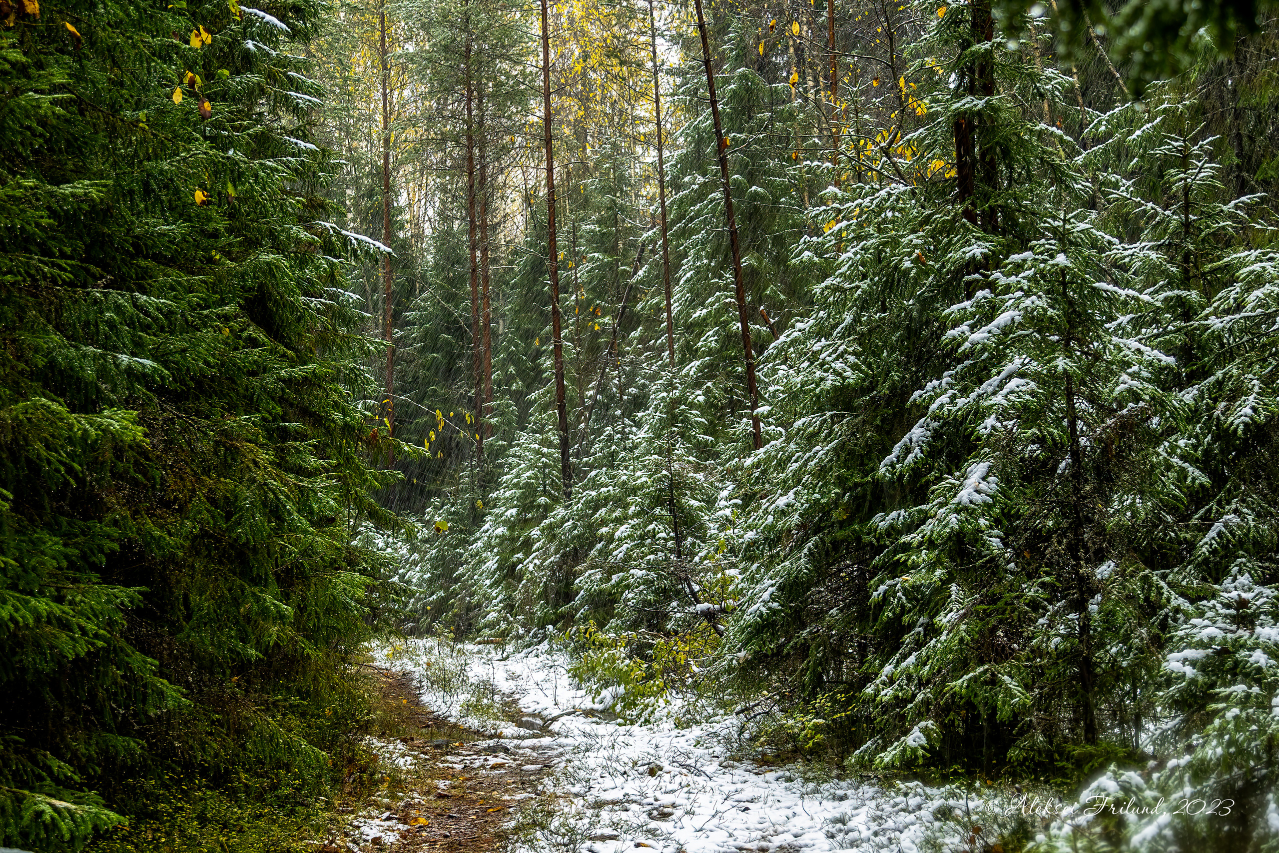 Природа Карелии. Аэросъемка. Фото и Видео в Карелии. Алексей Фрилунд