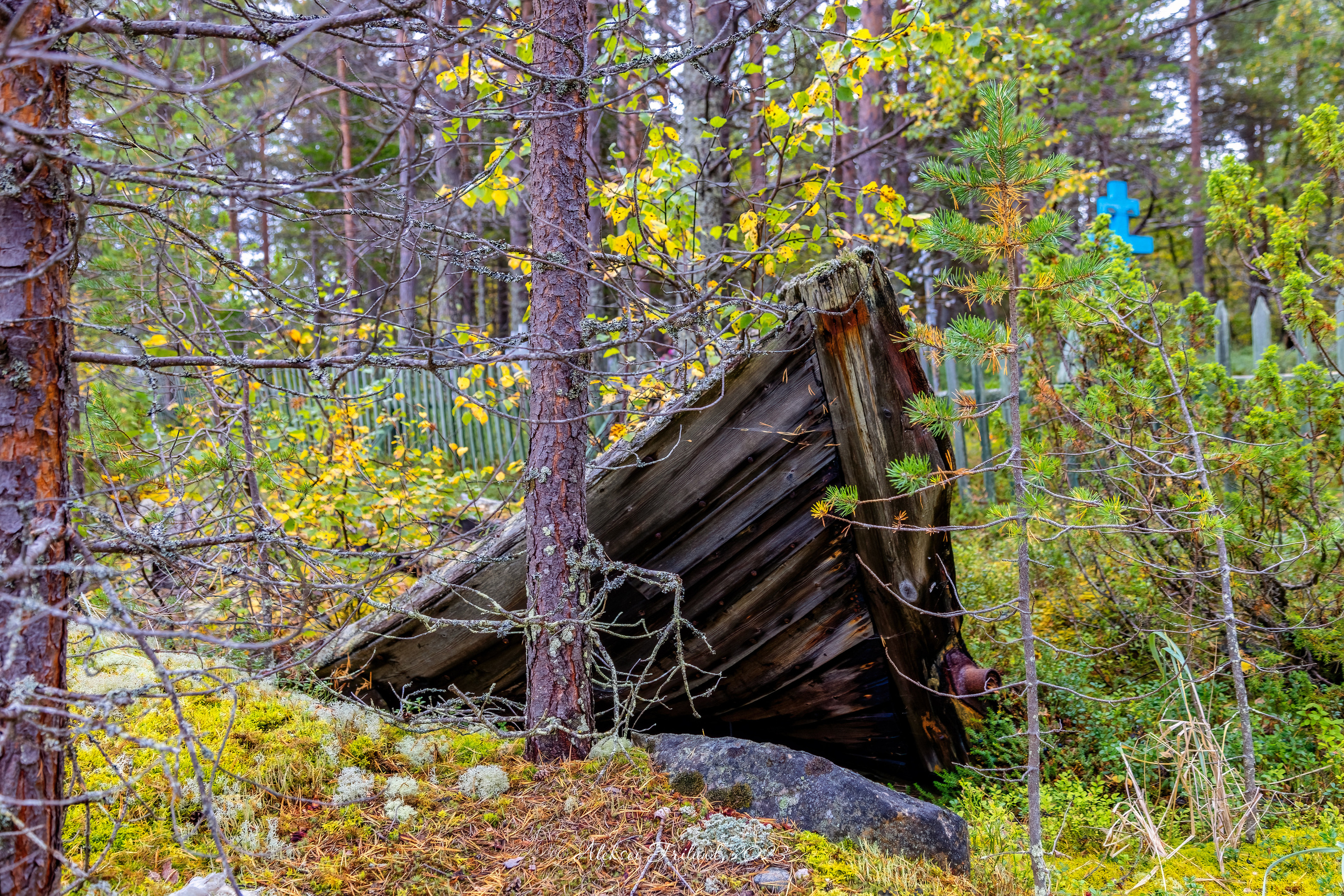 Белое море. Аэросъемка. Фото и Видео в Карелии. Алексей Фрилунд