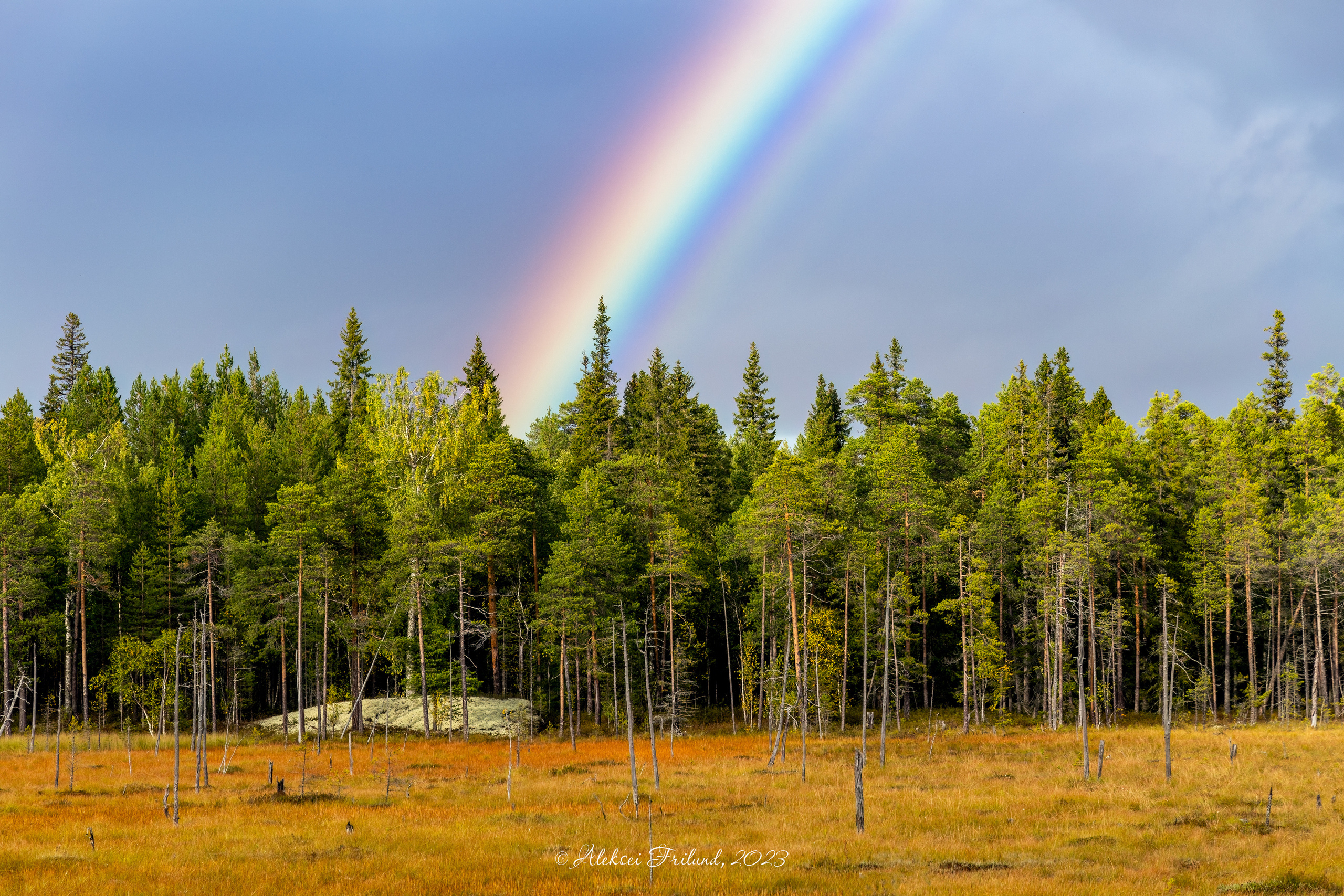 Природа Карелии. Аэросъемка. Фото и Видео в Карелии. Алексей Фрилунд