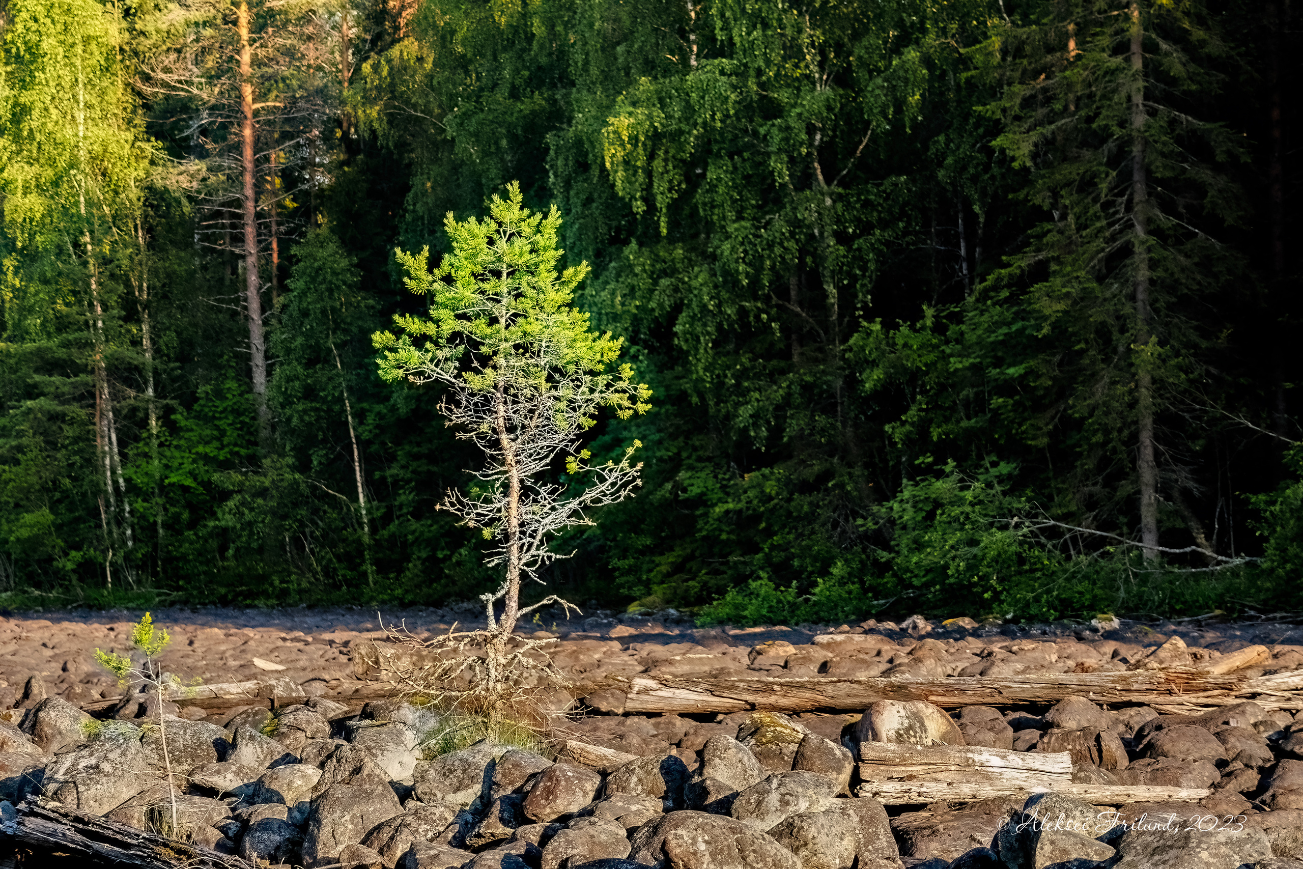 Природа Карелии. Аэросъемка. Фото и Видео в Карелии. Алексей Фрилунд