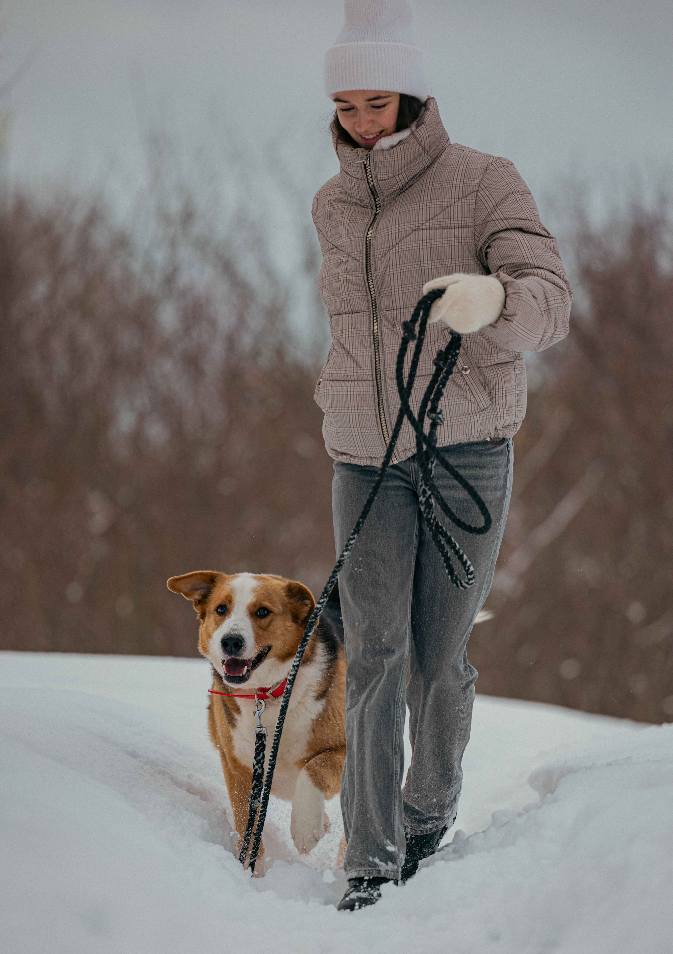 Петя. Фотограф-анималист в Москве Лера Черноног