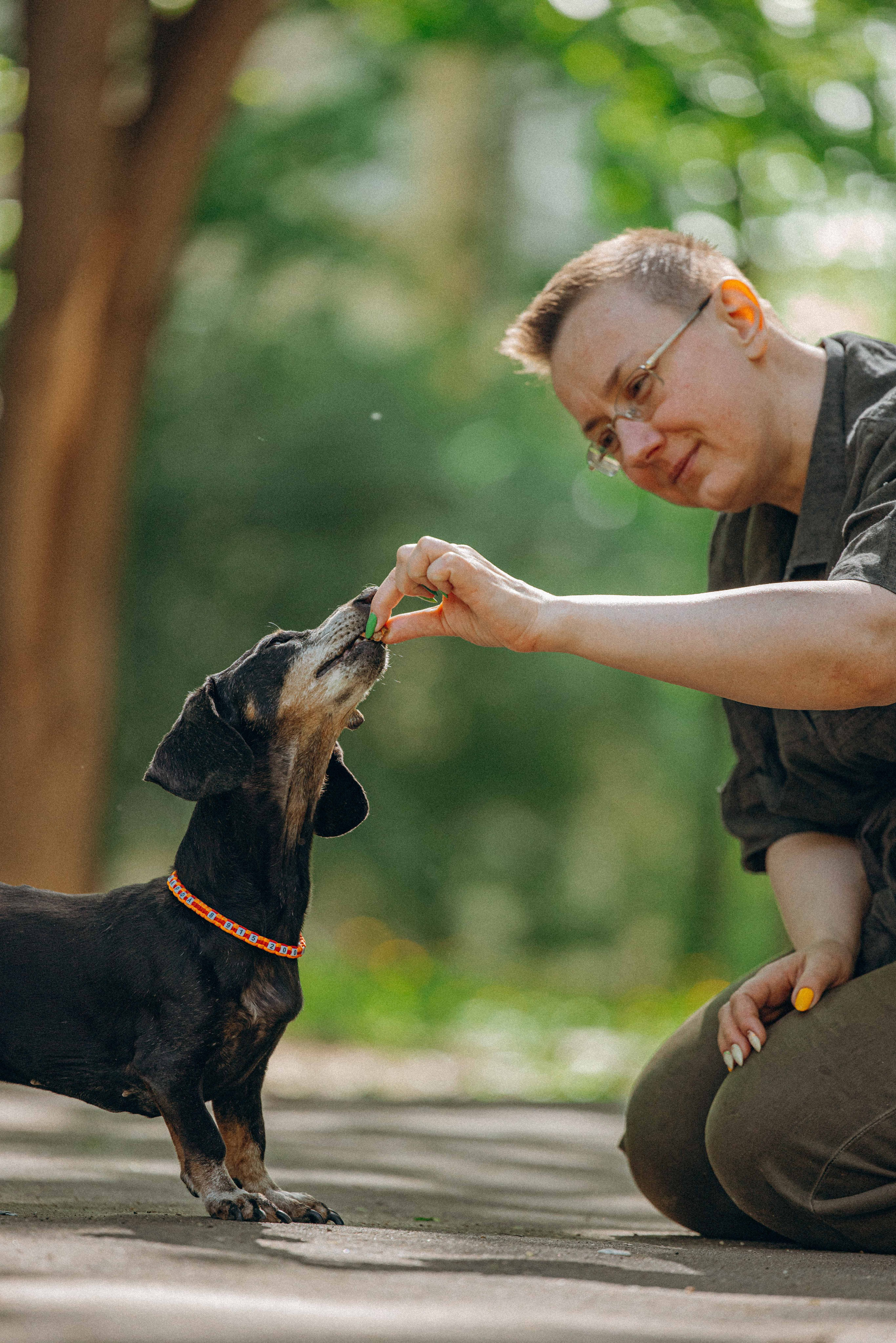 Наталья, Марфа и Норд. Фотограф-анималист в Москве Лера Черноног