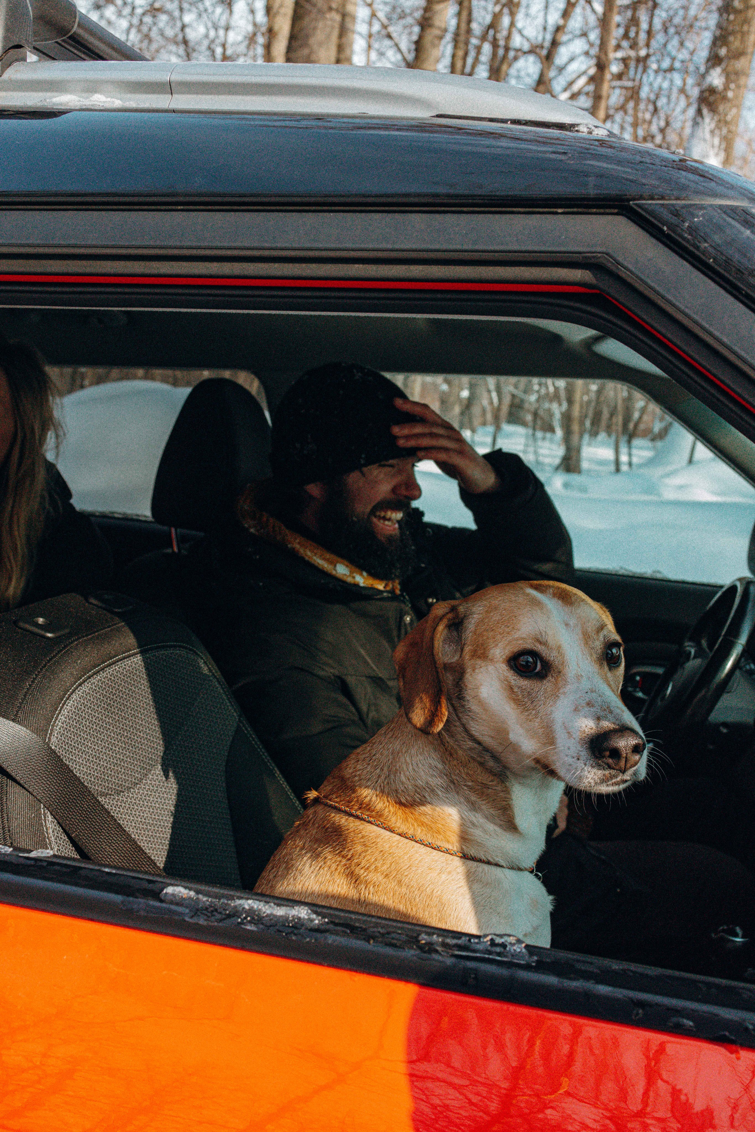 Свобода и ее семья. Фотограф-анималист в Москве Лера Черноног
