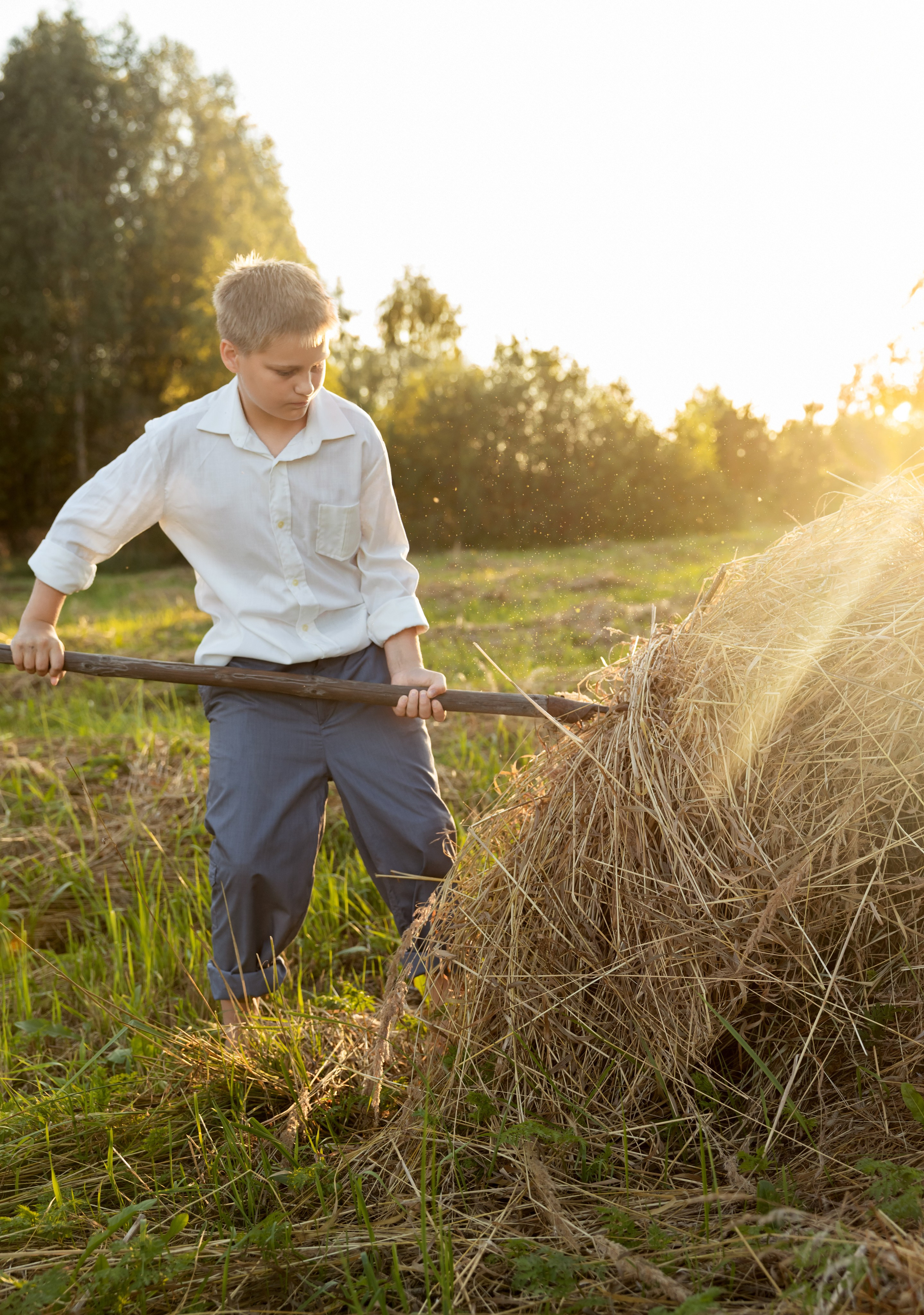 Сенокос. Семейный и детский фотограф г. Москва Супрунова Кристина