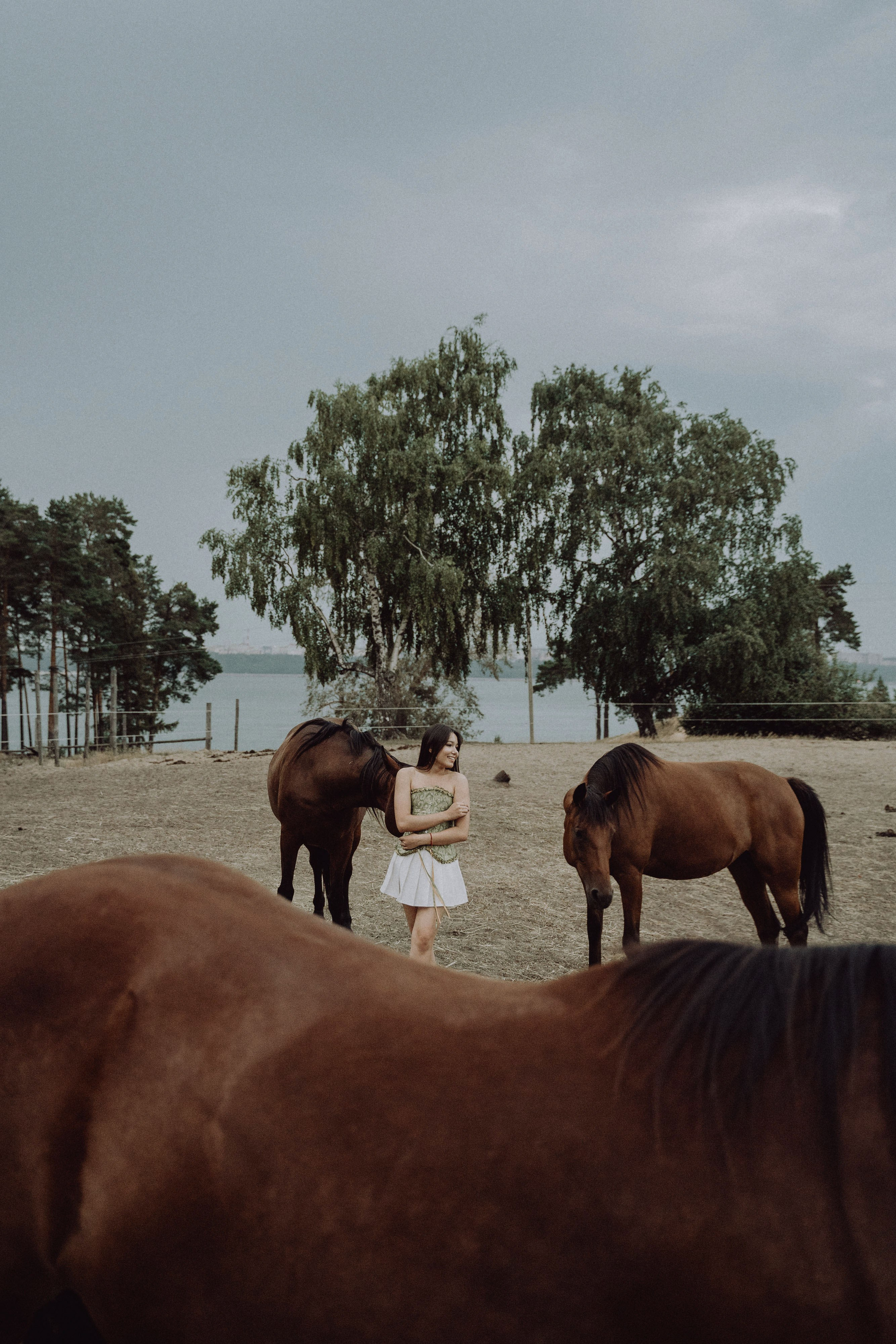 Конная прогулка. Фотограф Алексей Кутырёв