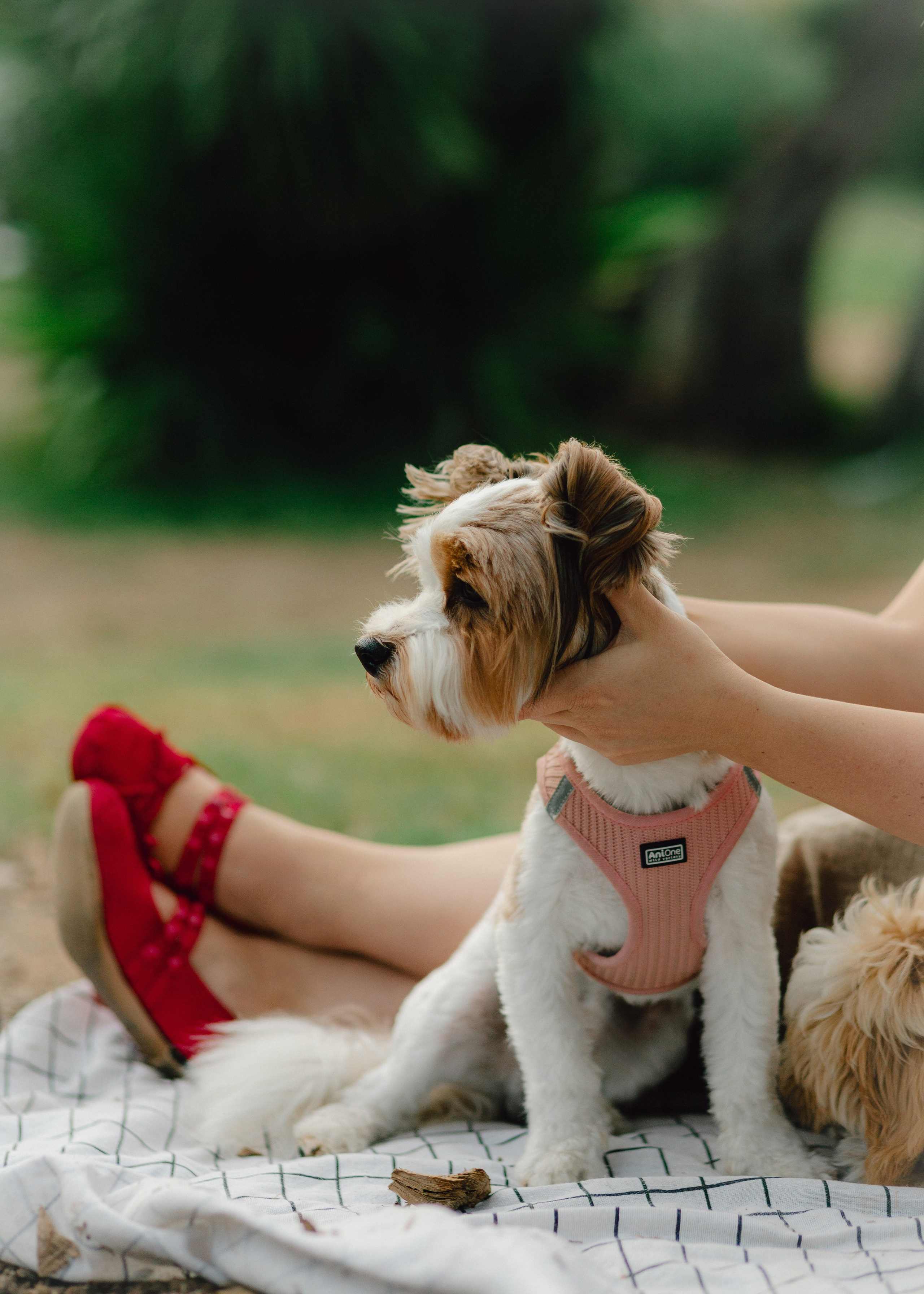 J&J Family. Barbara Isaeva