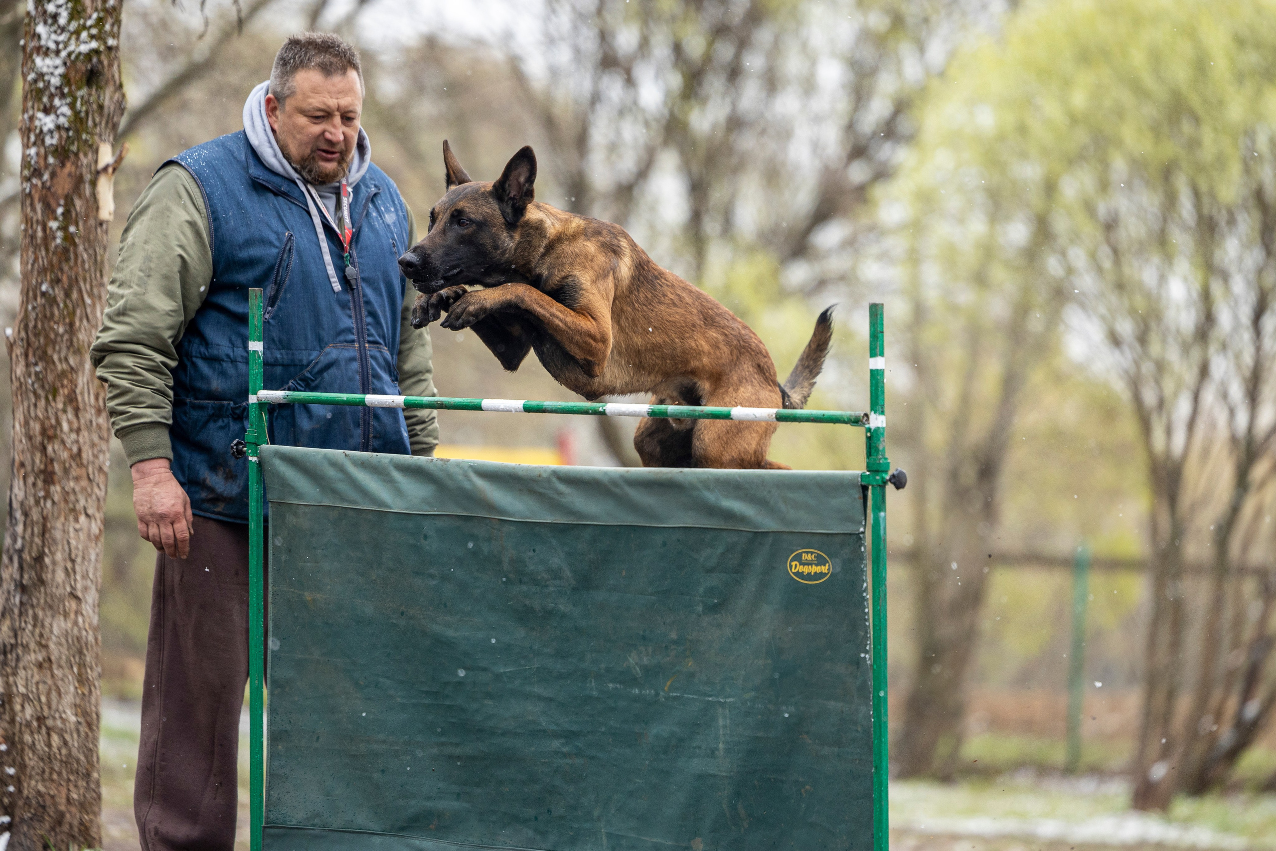 Квалификационные состязания по мондьорингу г. Вологда 11.05.24. Фотограф-анималист Анна Маринич