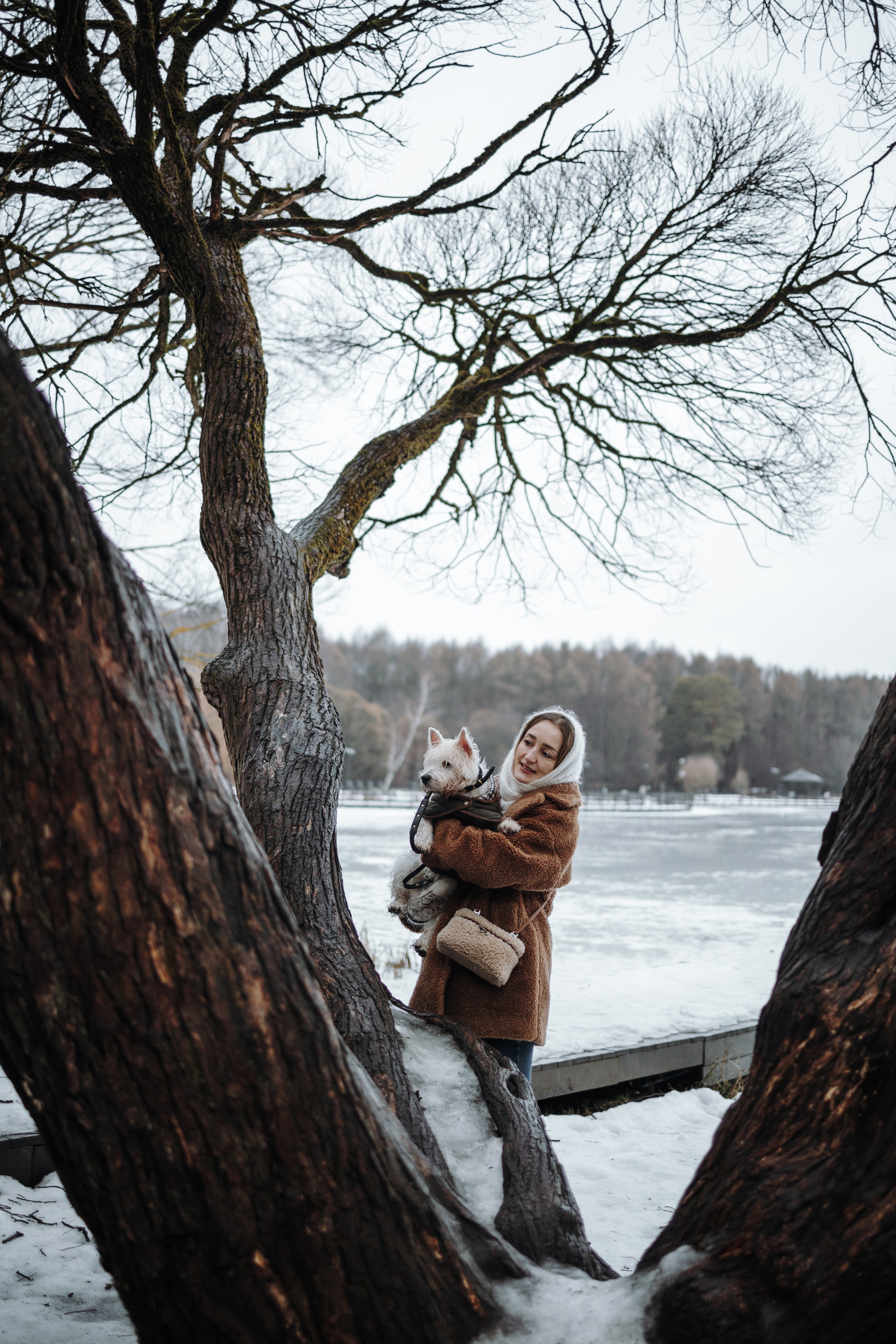 Шелби, Ватсон и ребята. Фотограф — Анималист | Санкт-Петербург