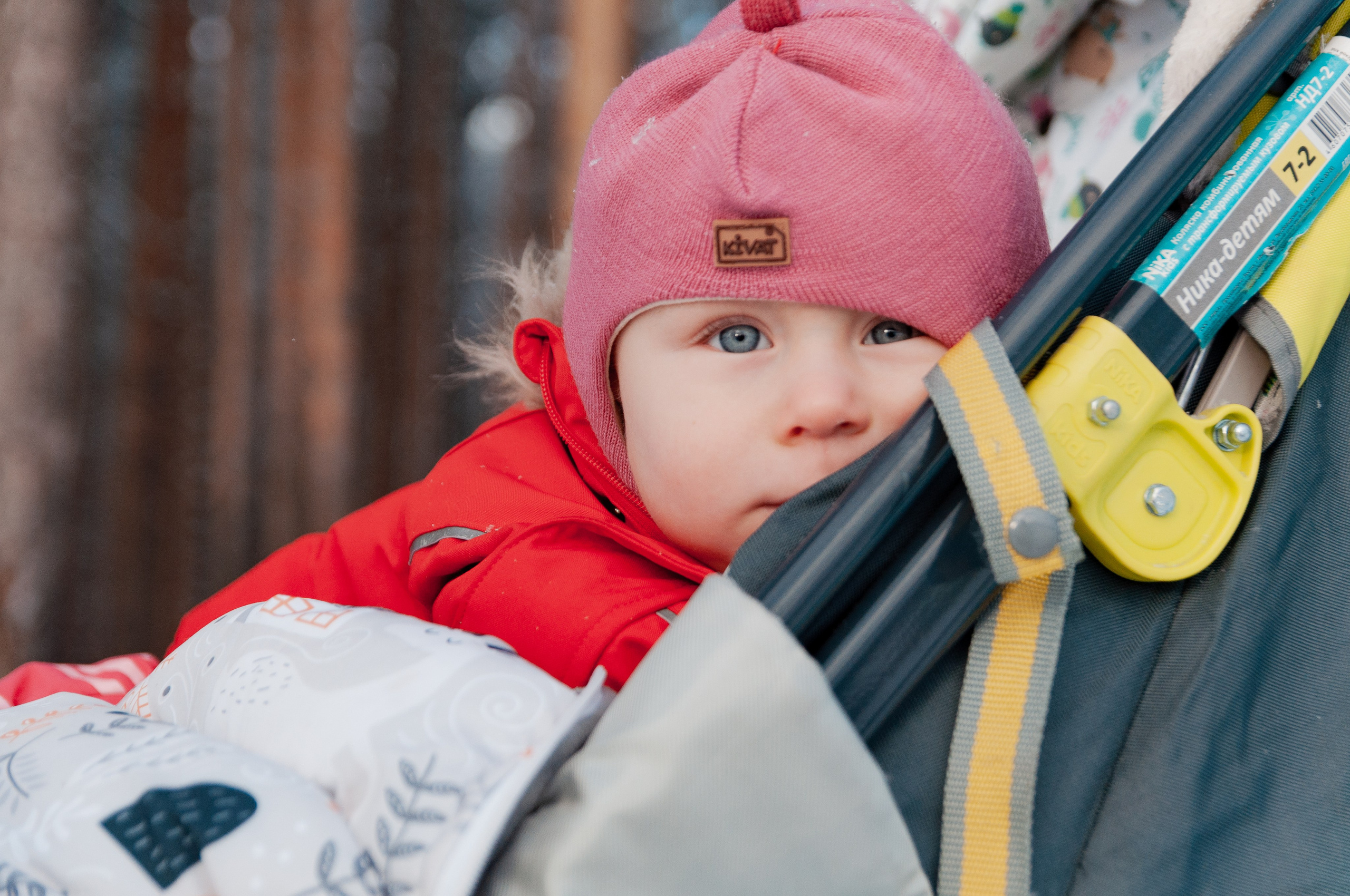 КСЮША+ВАЛЕРА+АВРОРА+РОБЕРТ. Фотограф в Ярославле Грибанова Ирина