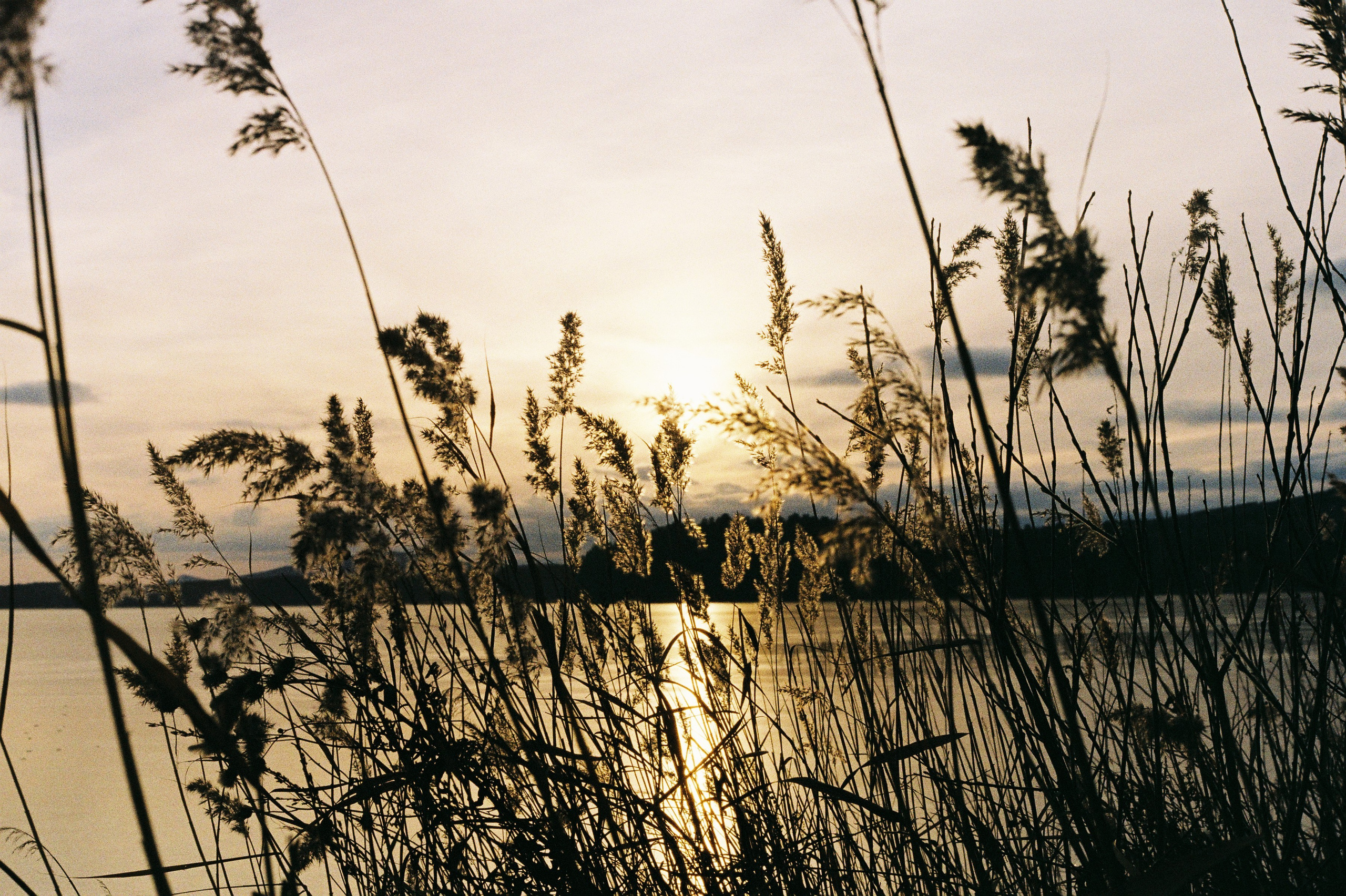 На пленку. Фотограф Настя | Экспедиции и лайфстайл