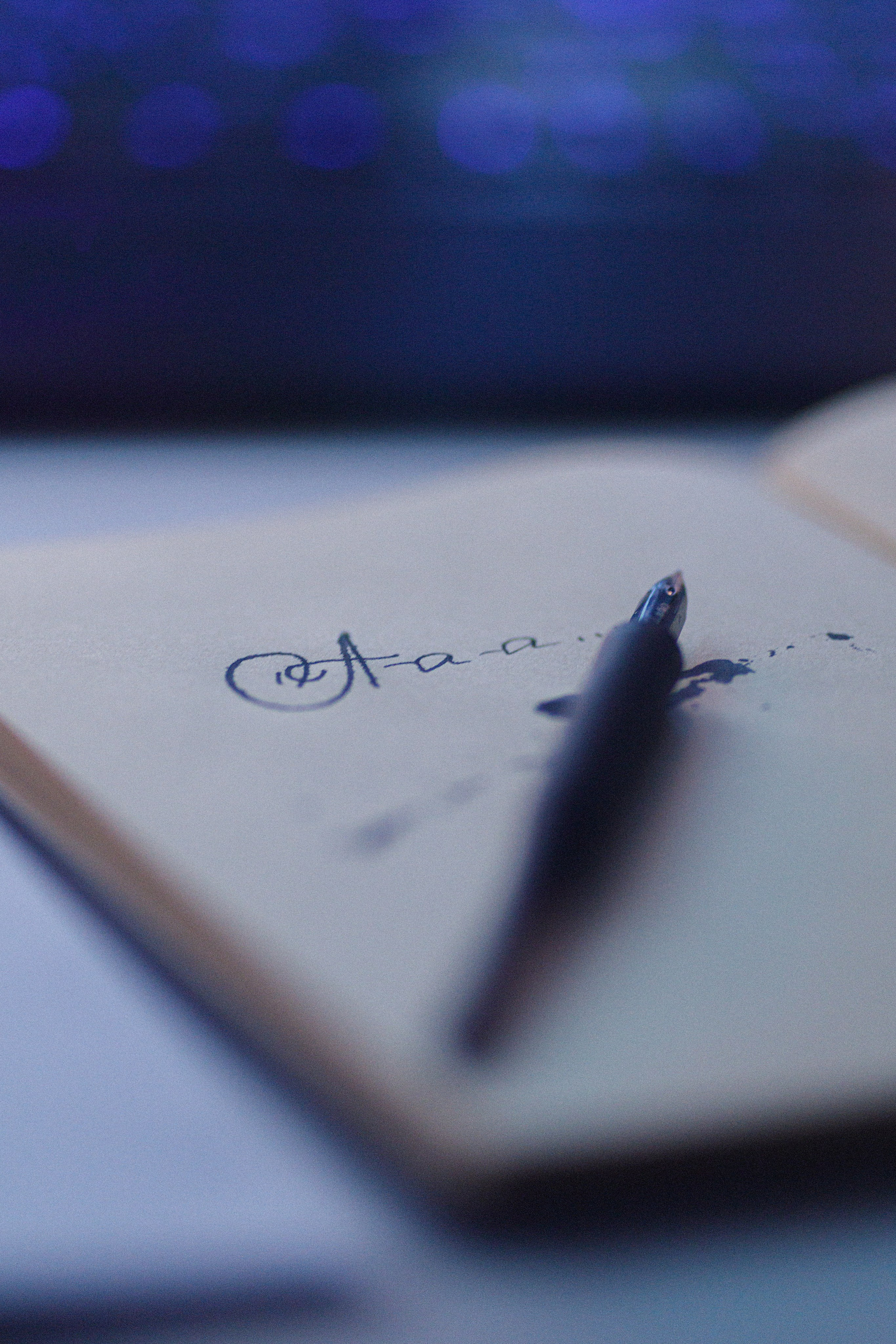 Проект «366»|2024|Фото каждый день. LENA GRACE photographer ||ЛЕНА ГРЭЙС фотограф