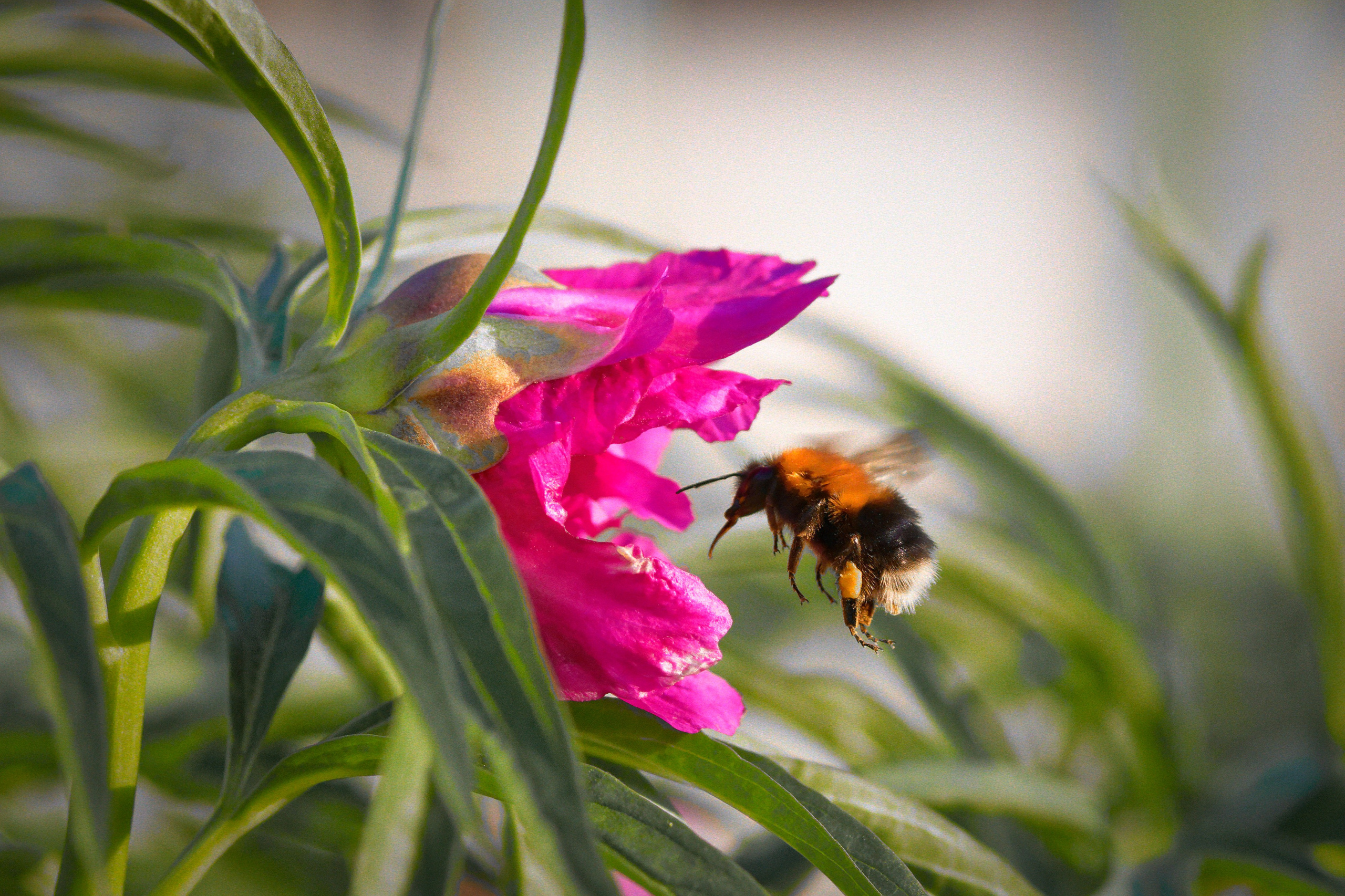 Услуги. Фотограф в городе Омске Константин Зоткин