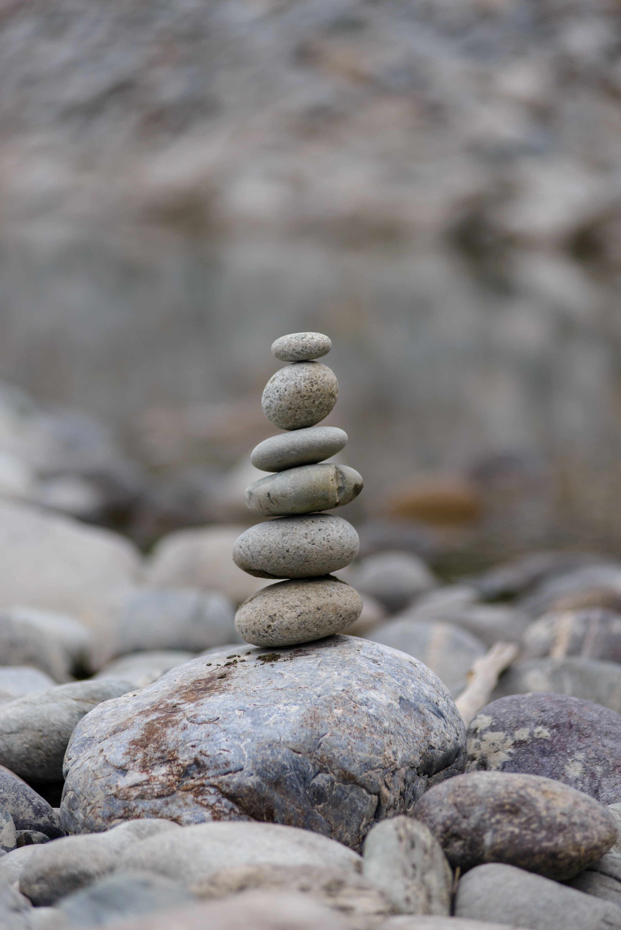 Природа. Фотограф в городе Омске Константин Зоткин