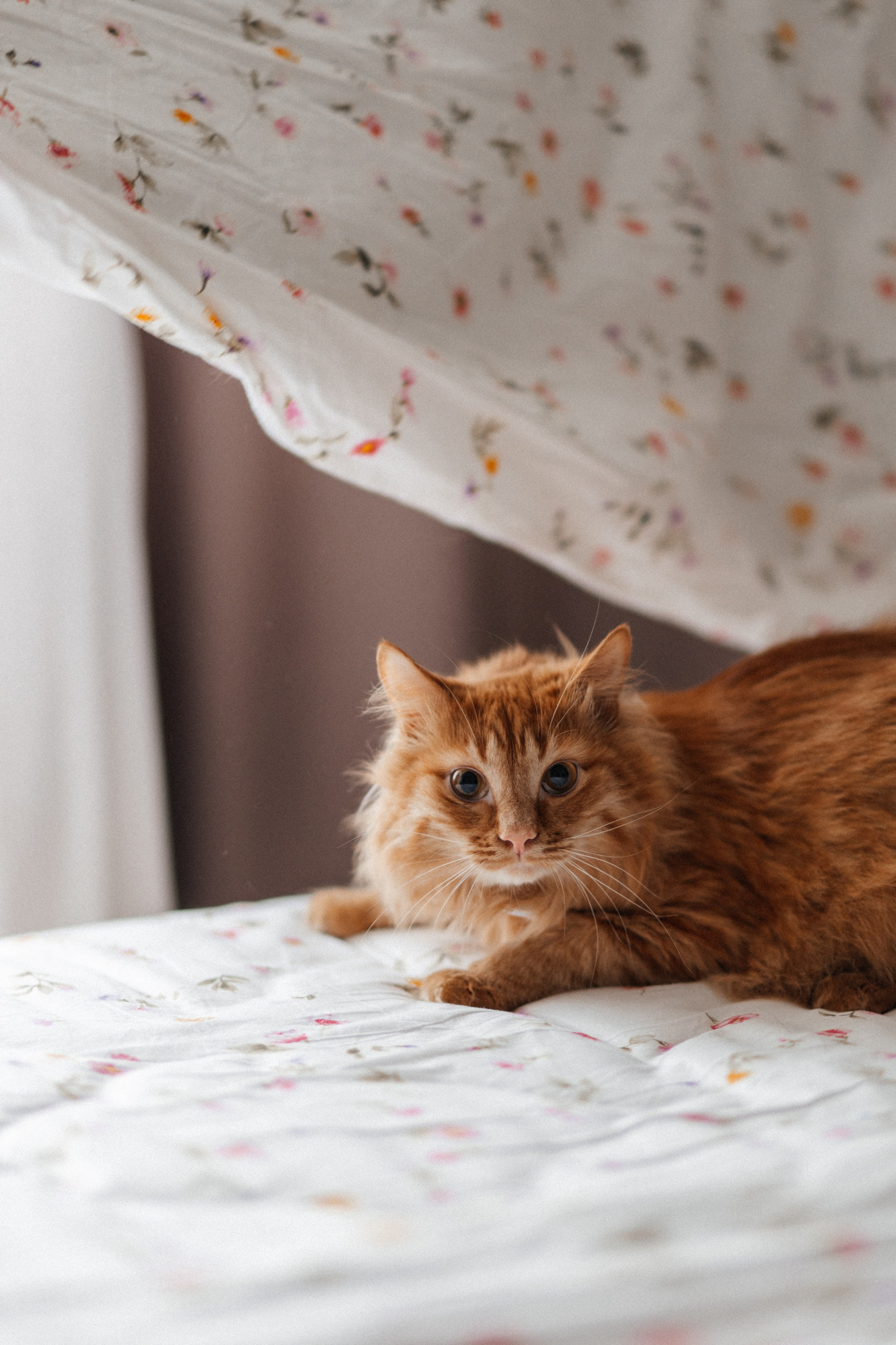 Василий и Ольга. Мордвинова Татьяна