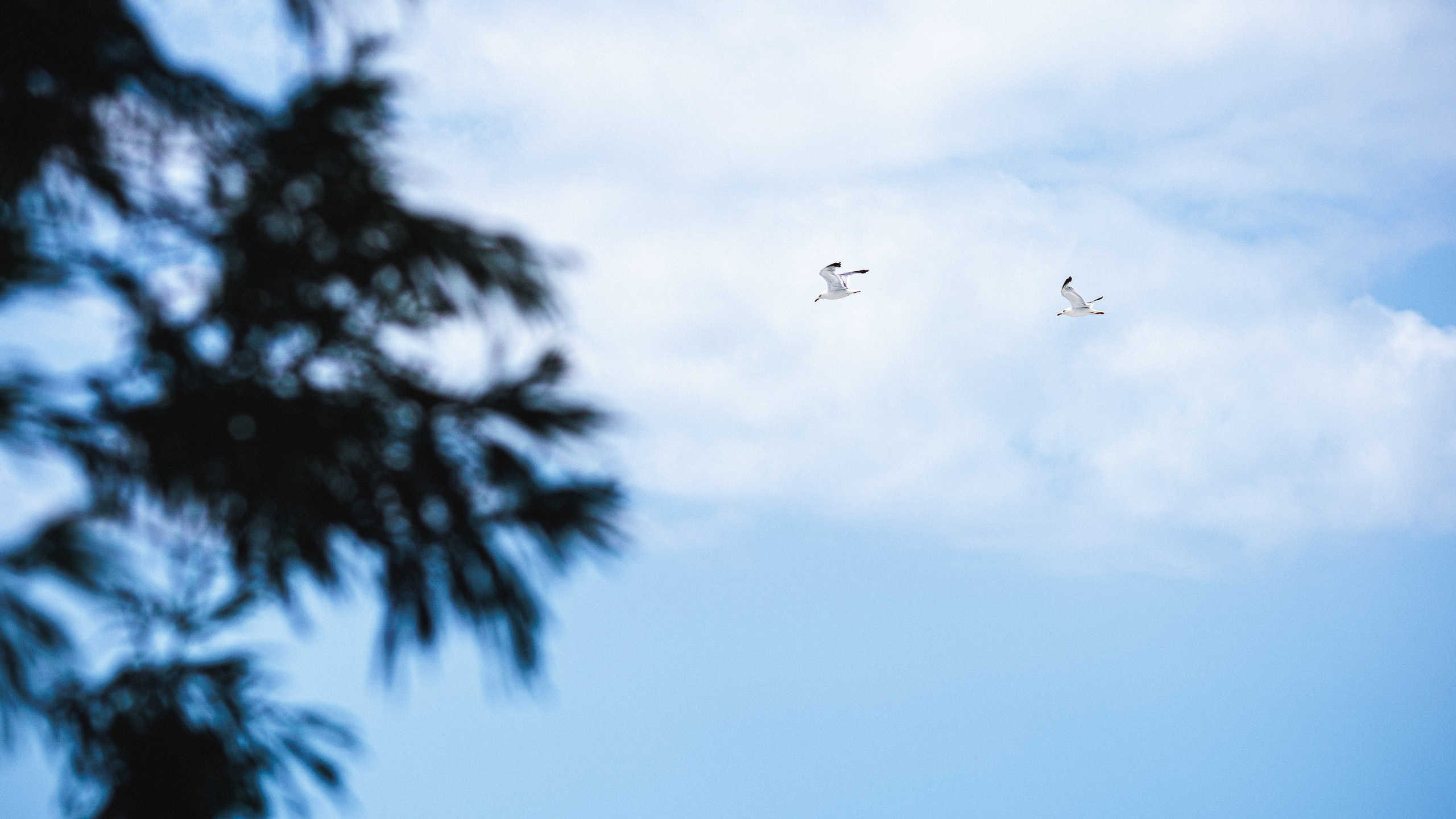 Сток. Сайт о фотографии, Москва