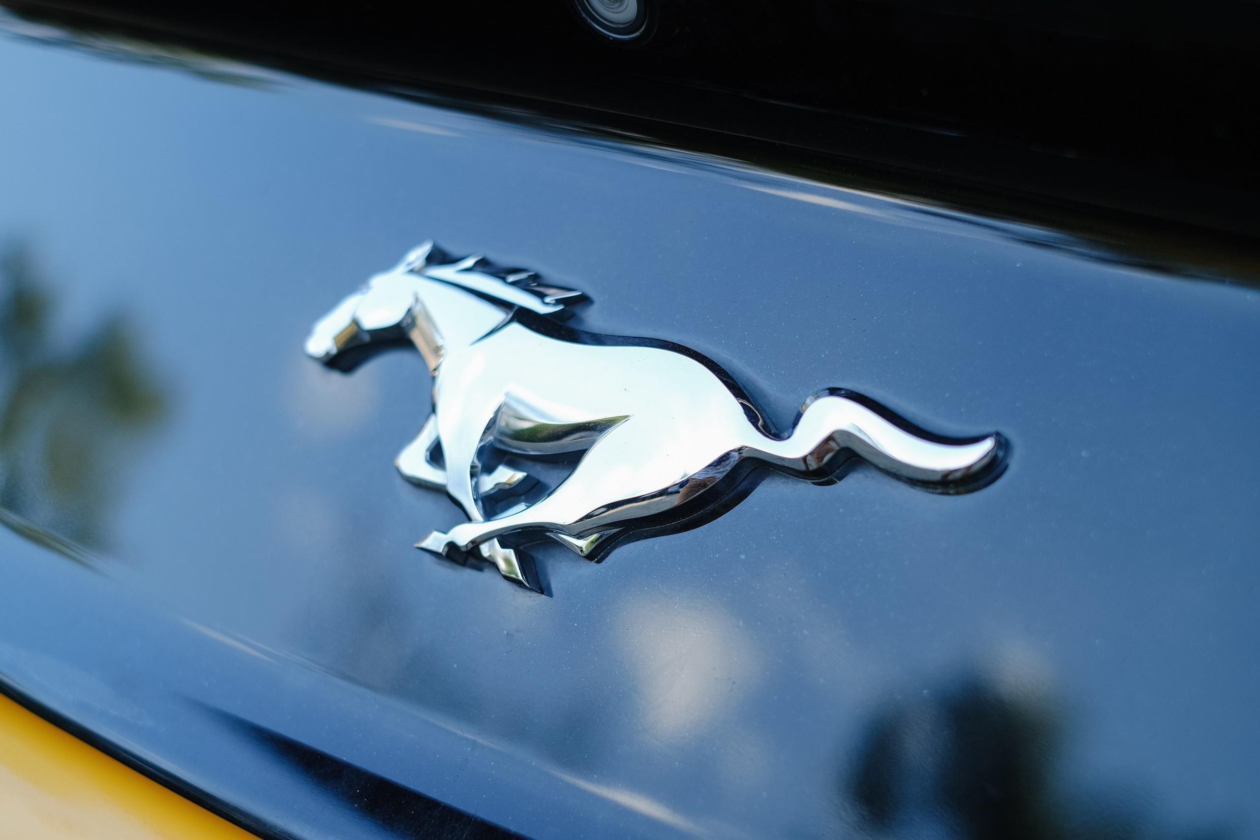 А+Е (Ялта). Профессиональная фотосъемка в Крыму. Натуральные эмоции и живые кадры. Забронируйте дату прямо сейчас!