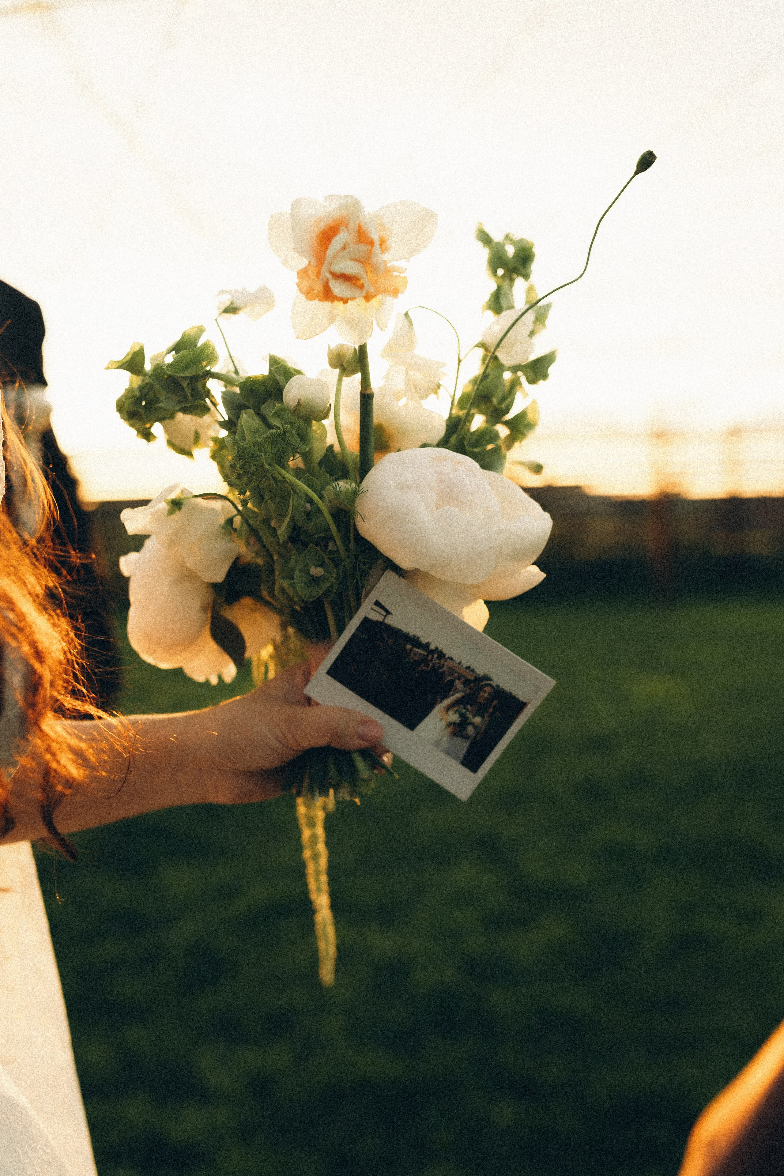 Vinity Forest. Фотограф Анастасия Платонова | Санкт-Петербург