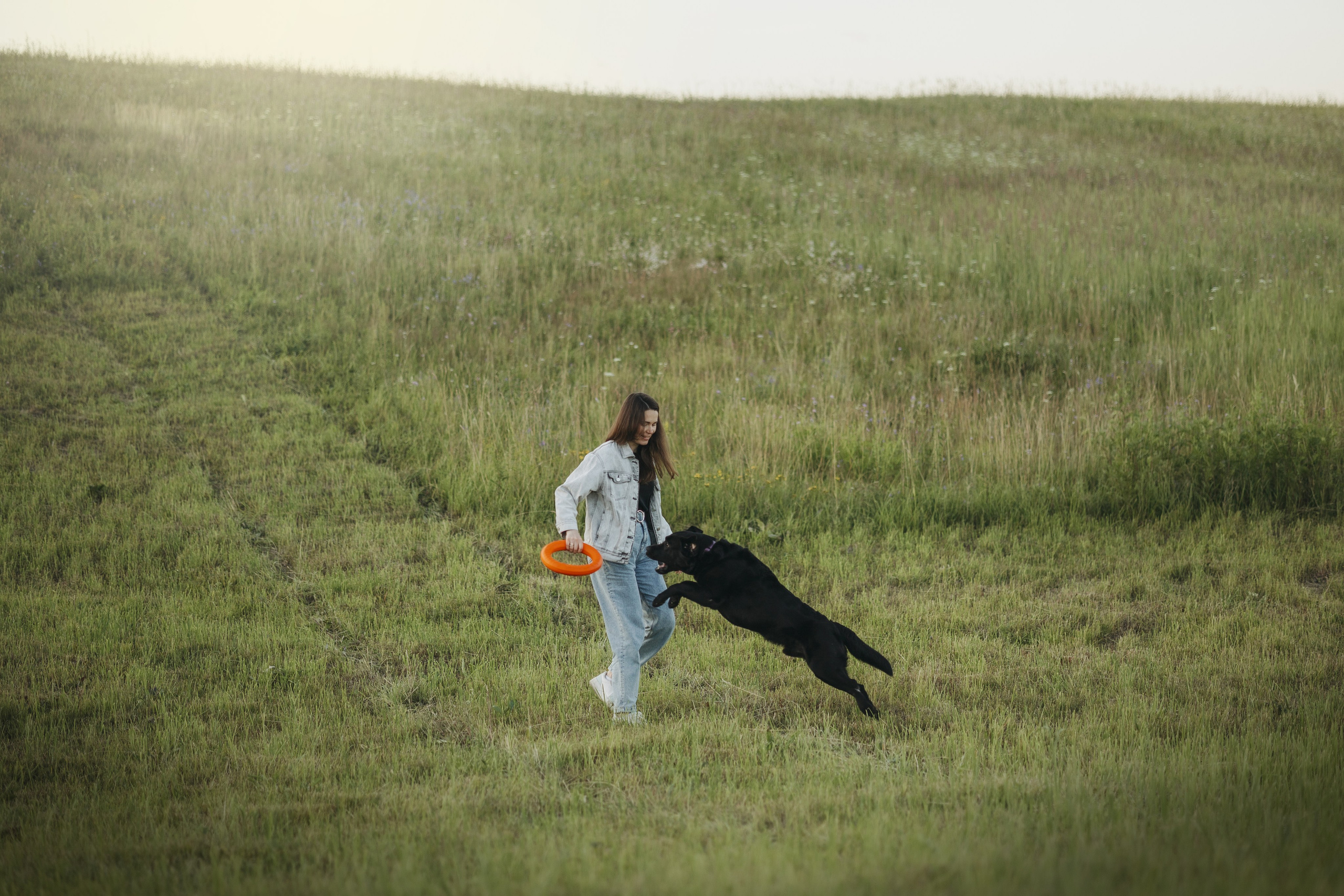 Бомбей и его семья. Фотограф — Анималист | Санкт-Петербург