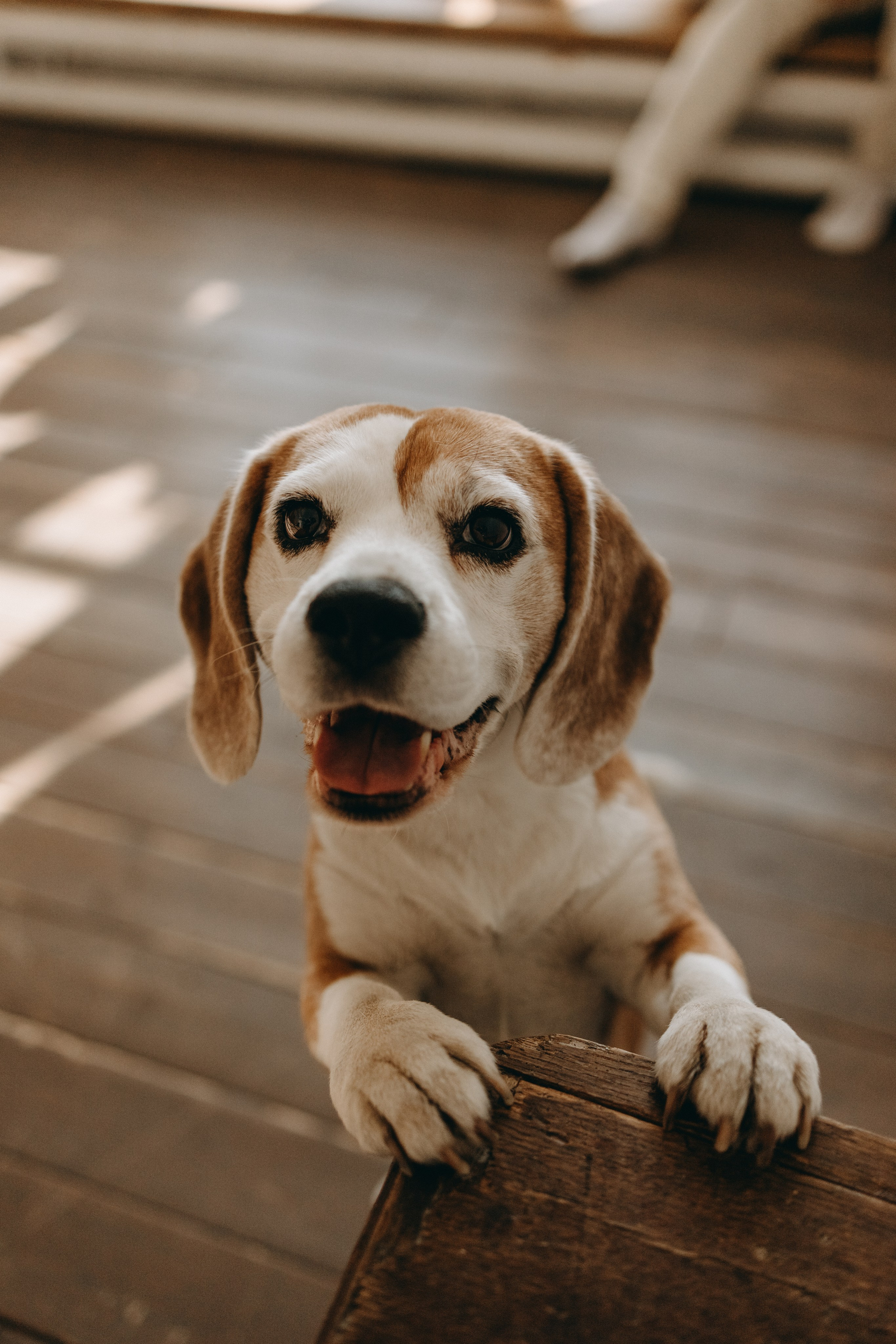 Даня и его семья. Фотограф — Анималист | Санкт-Петербург