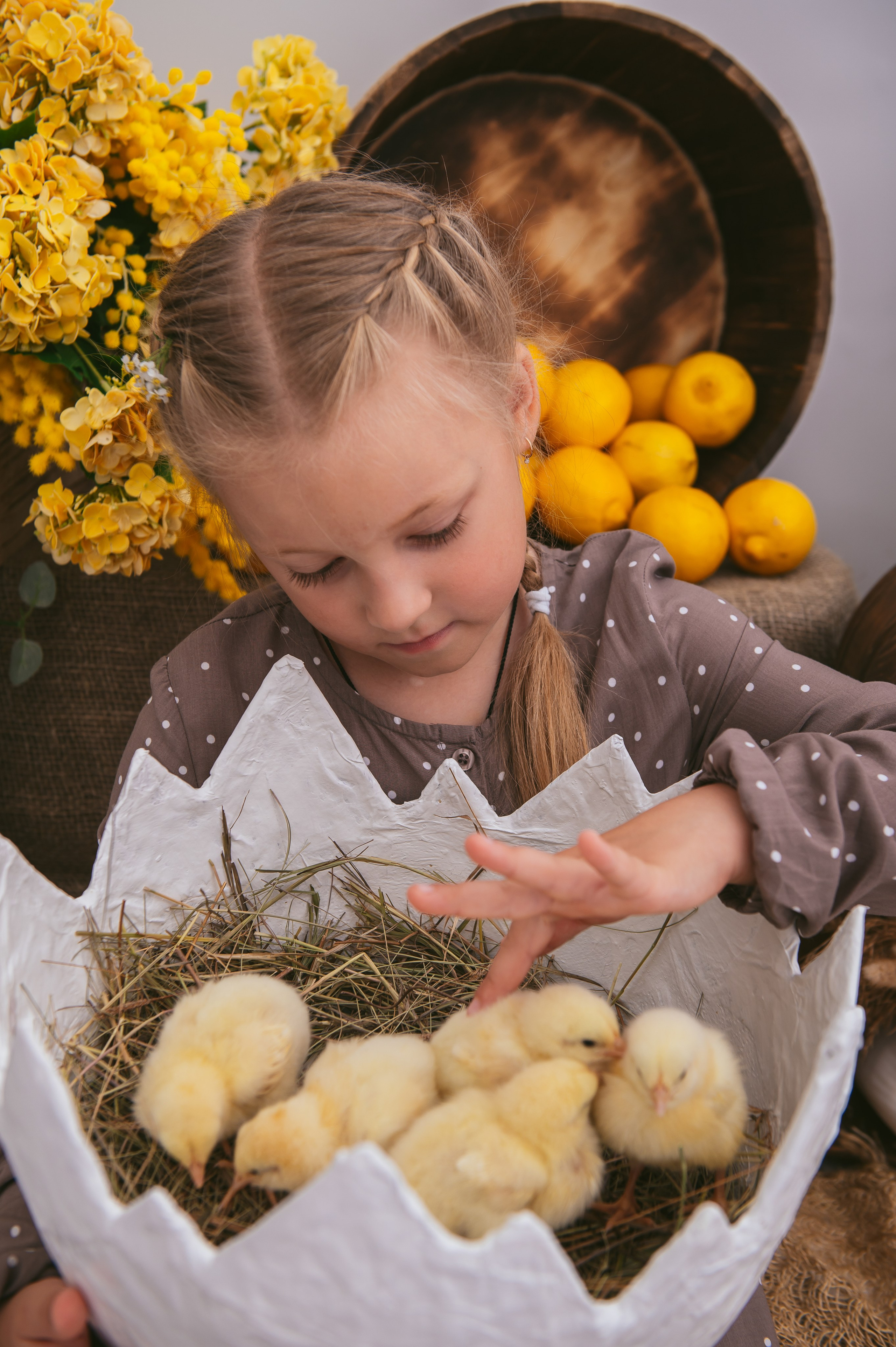 Цыплята. Детский фотограф Магадан