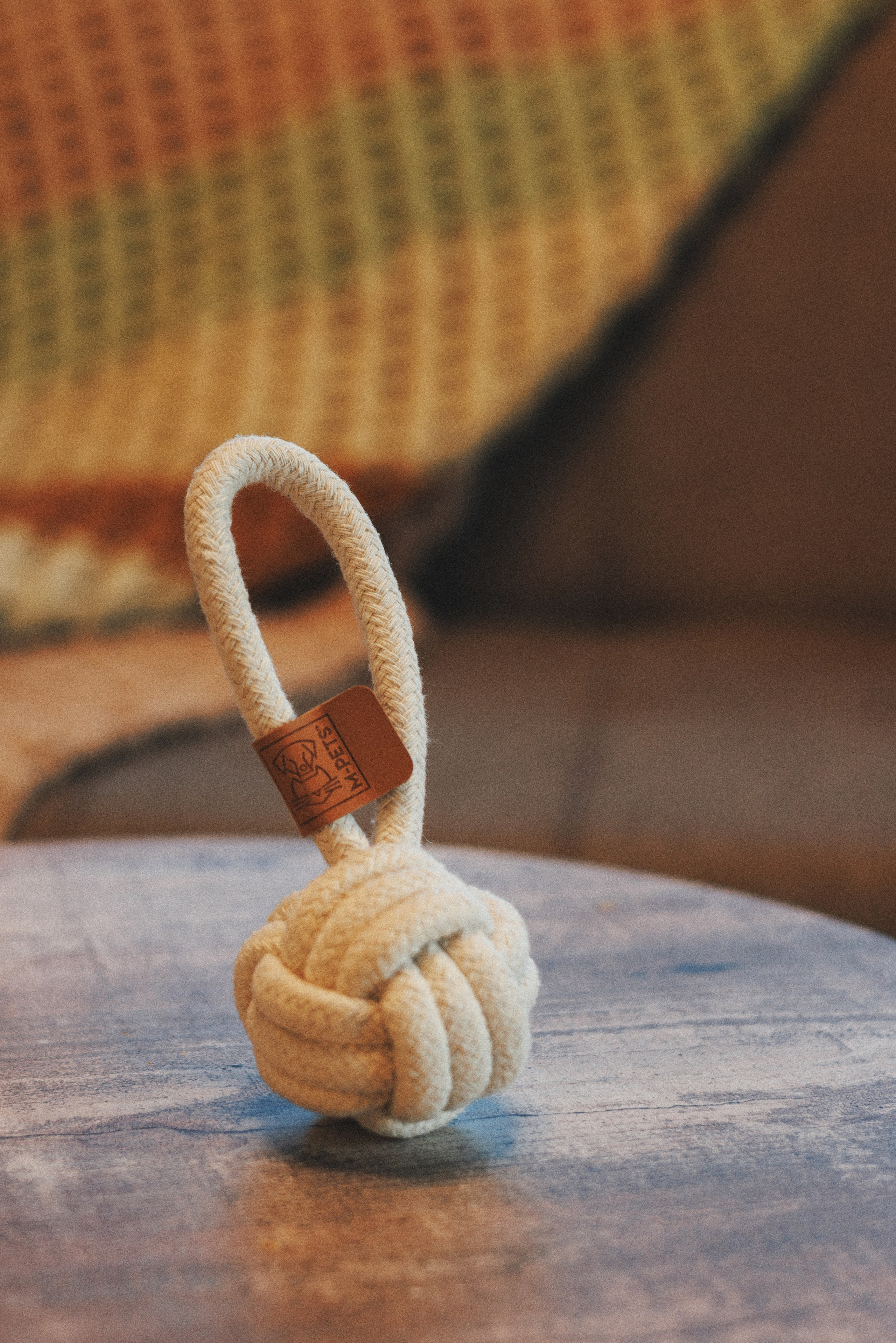 M-Pets. Фотограф анималист Осипчикова Мария