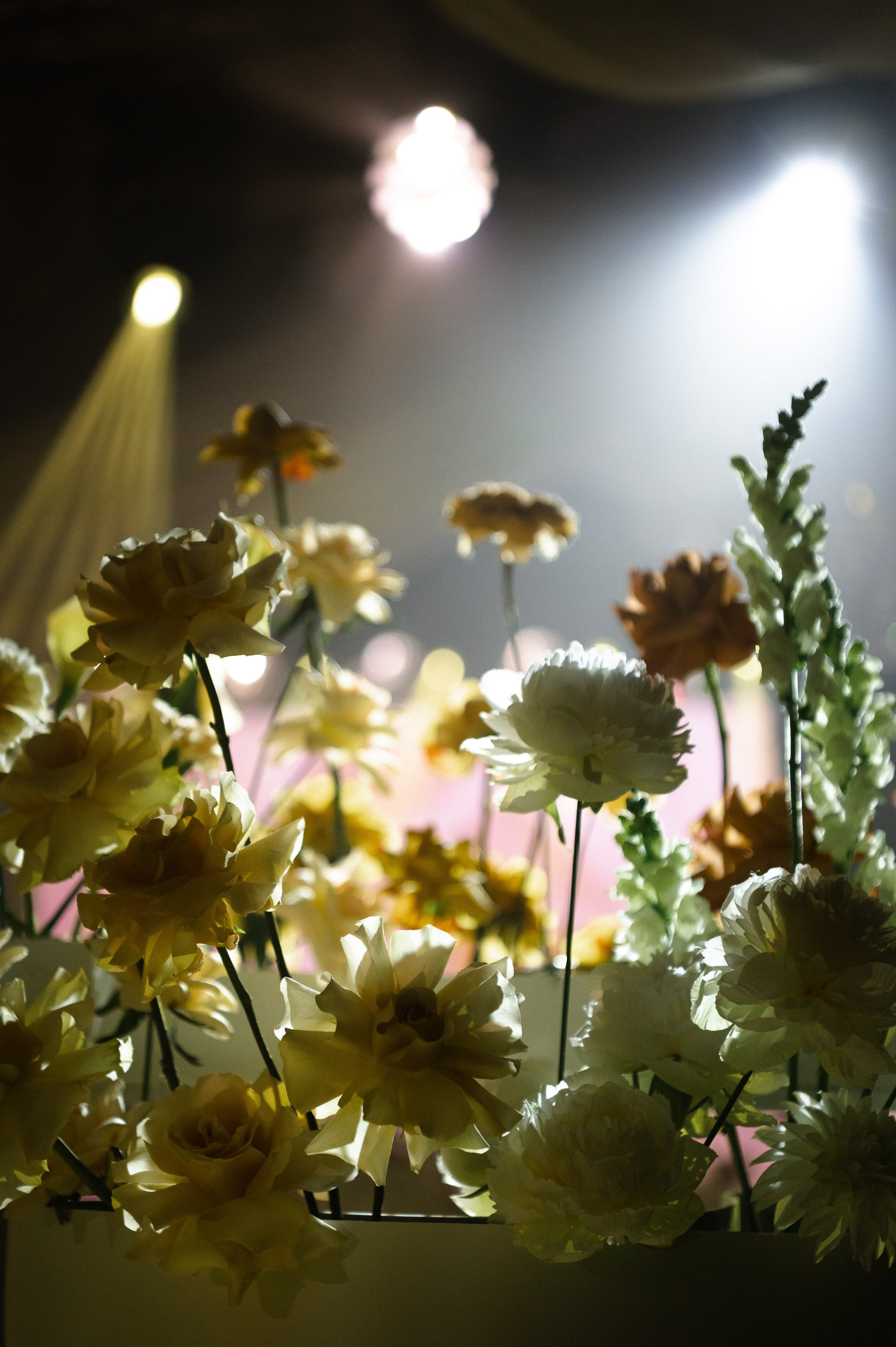 Вадим и Анета. Свадебный фотограф Ростов-на- Дону, Краснодар, Москва