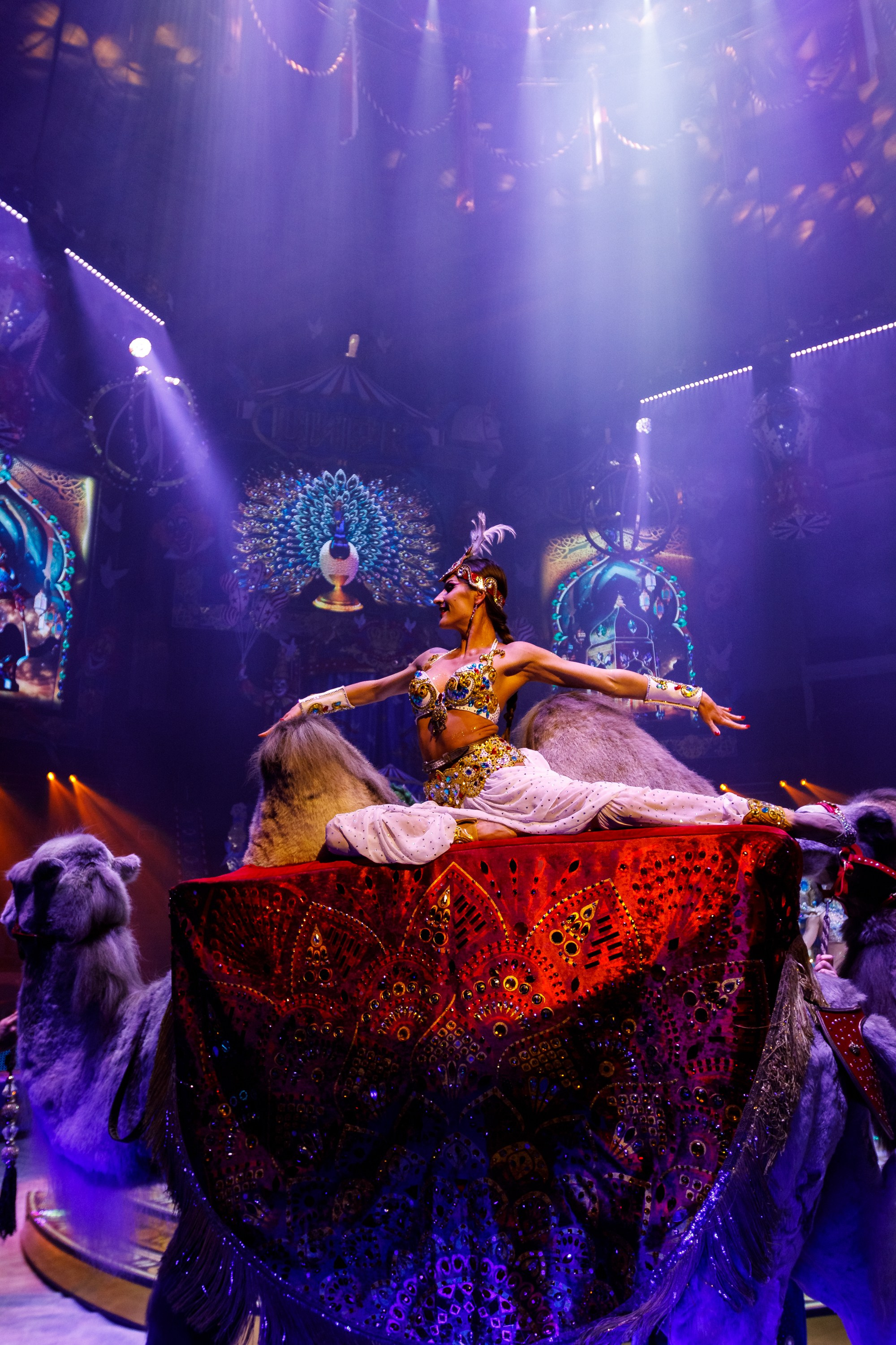 Сочинский росгорцирк Шоу Гии Эрадзе цирк. Профессиональный фотограф в Сочи Виктория Джой. Обучение