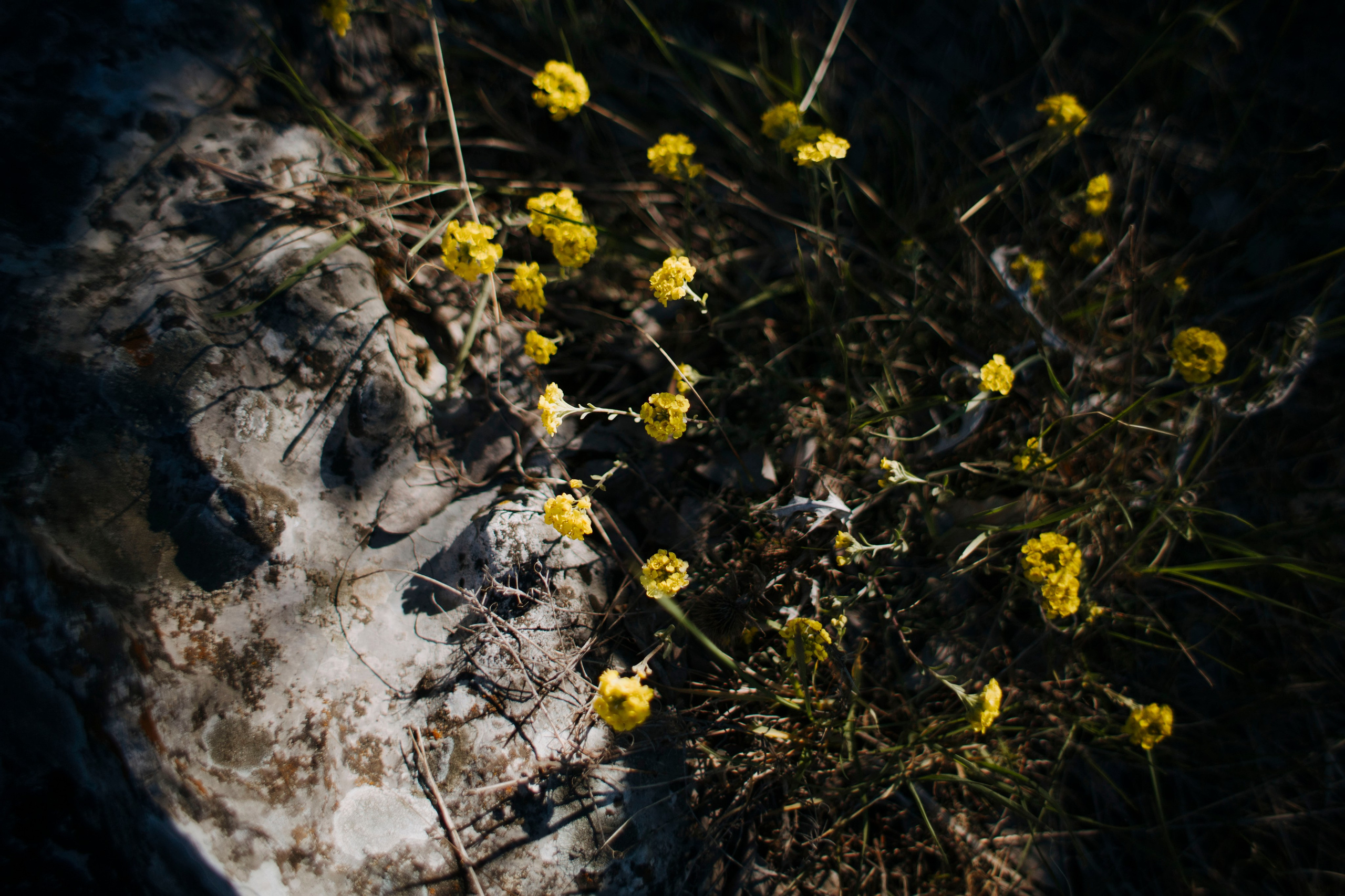 МореНебоОблака. Ваш портретный фотограф в Москве Катя Прокофьева