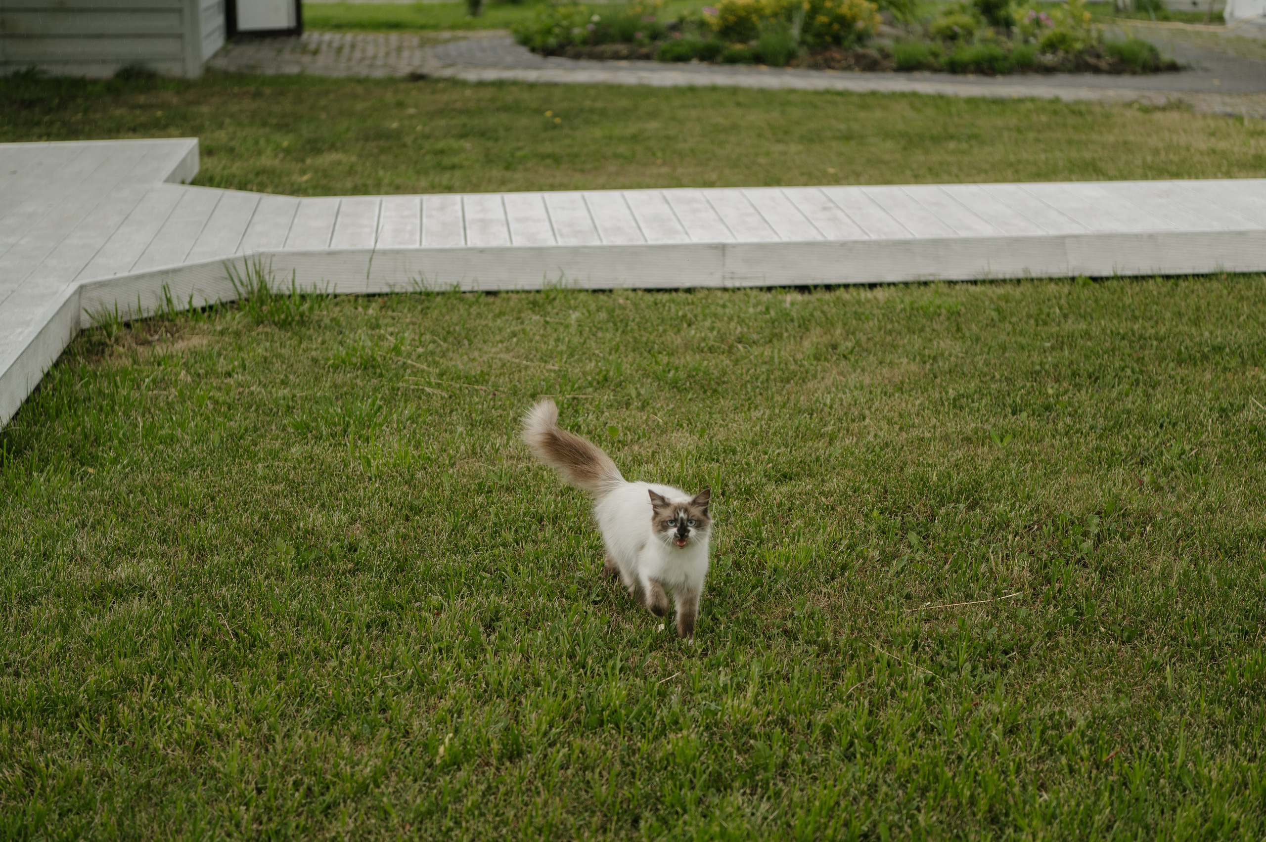 Вячеслав и Ксения. Свадебный фотограф Белгород