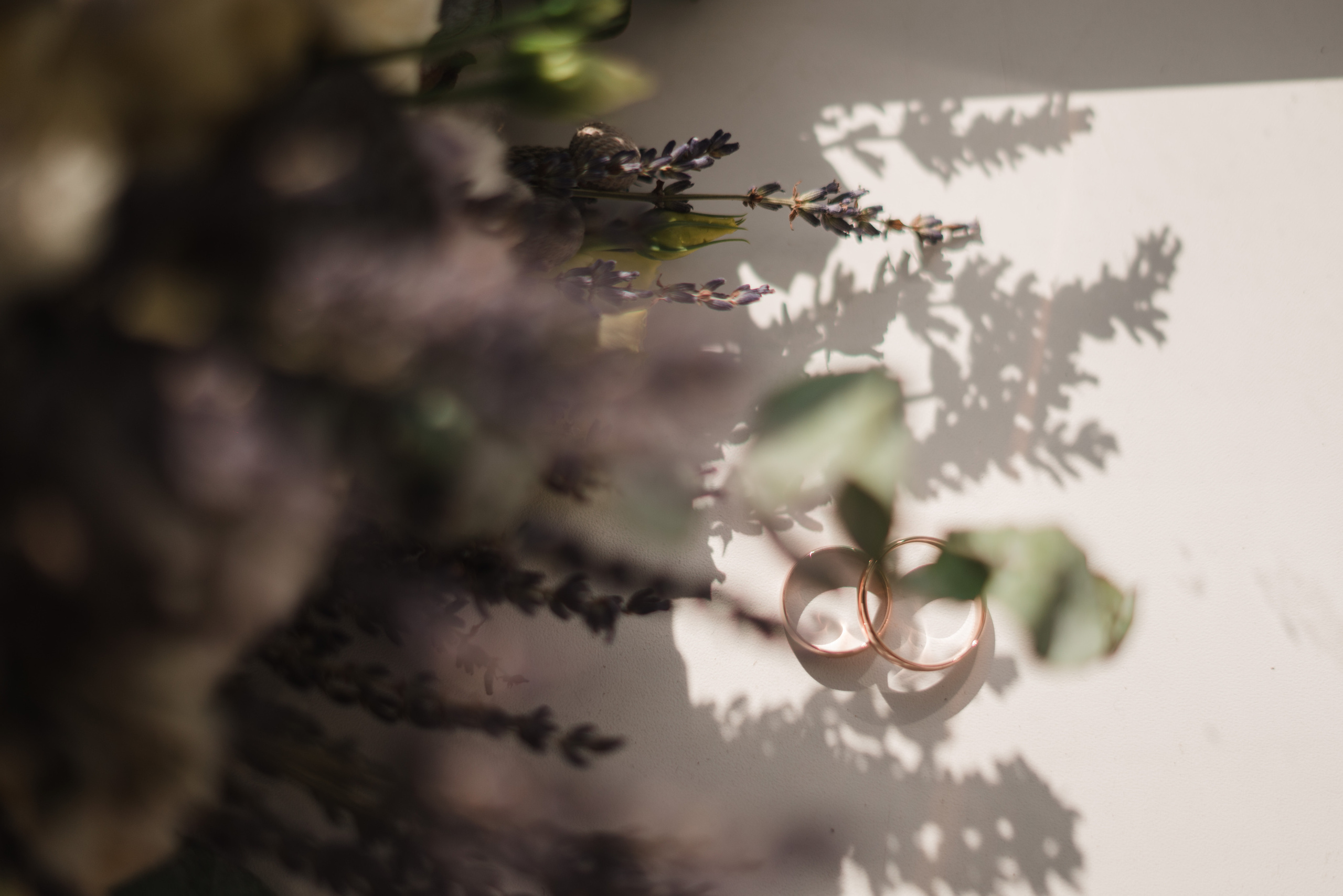 Василий и Арина. Свадебный и семейный фотограф в Саратове Татьяна Карановская