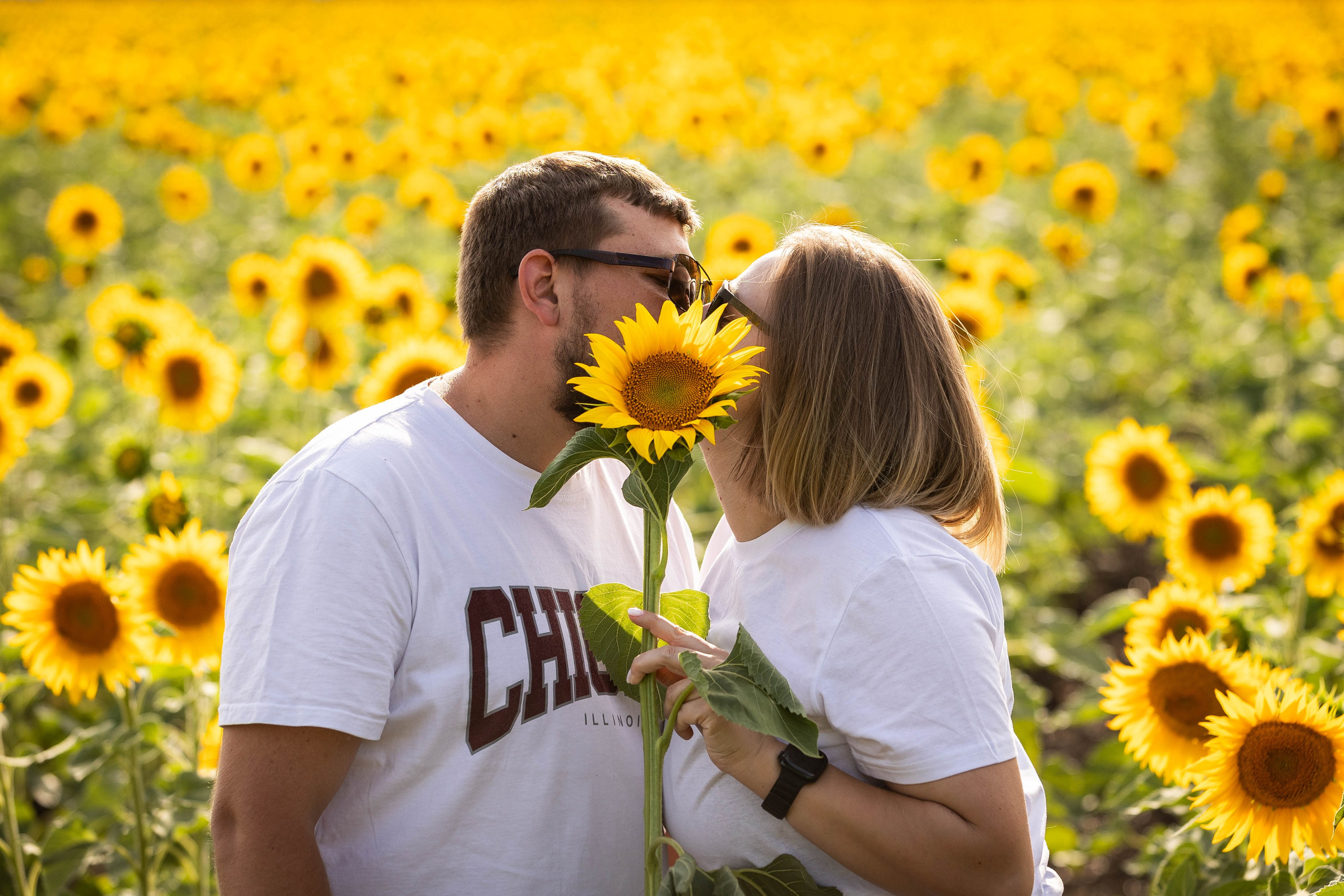 ПОДСОЛНУХИ. Фотограф-АниМалист Анна Абрамова