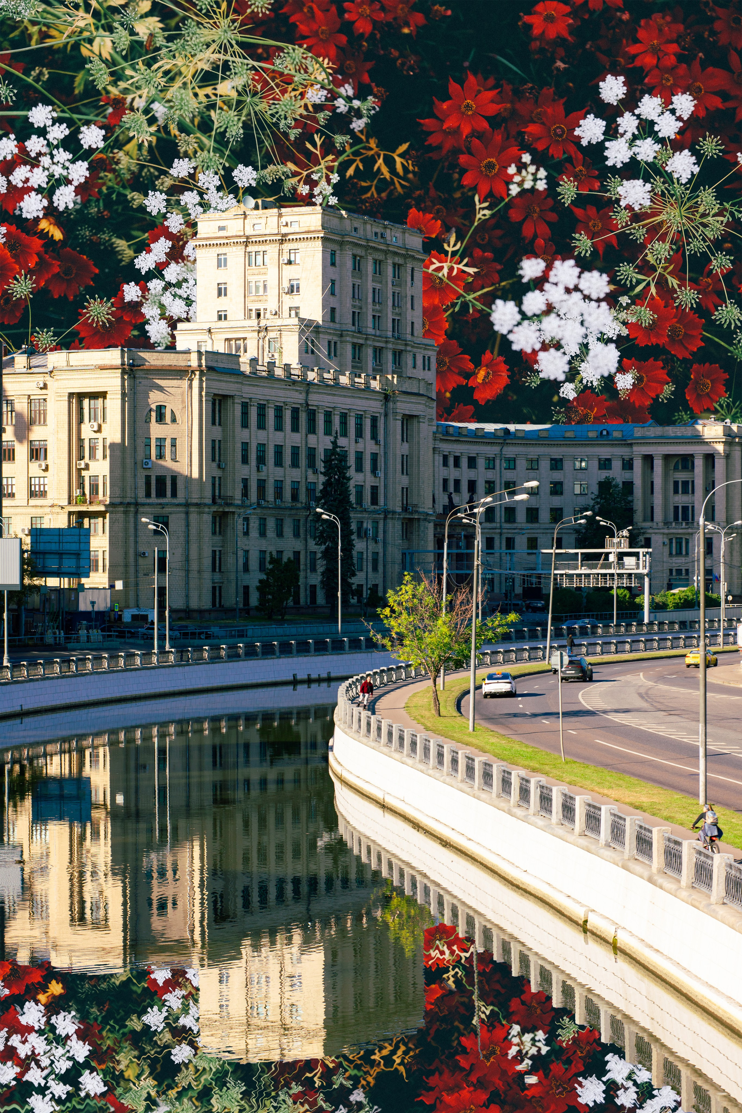 Cards. Фотограф Анастасия Сонина