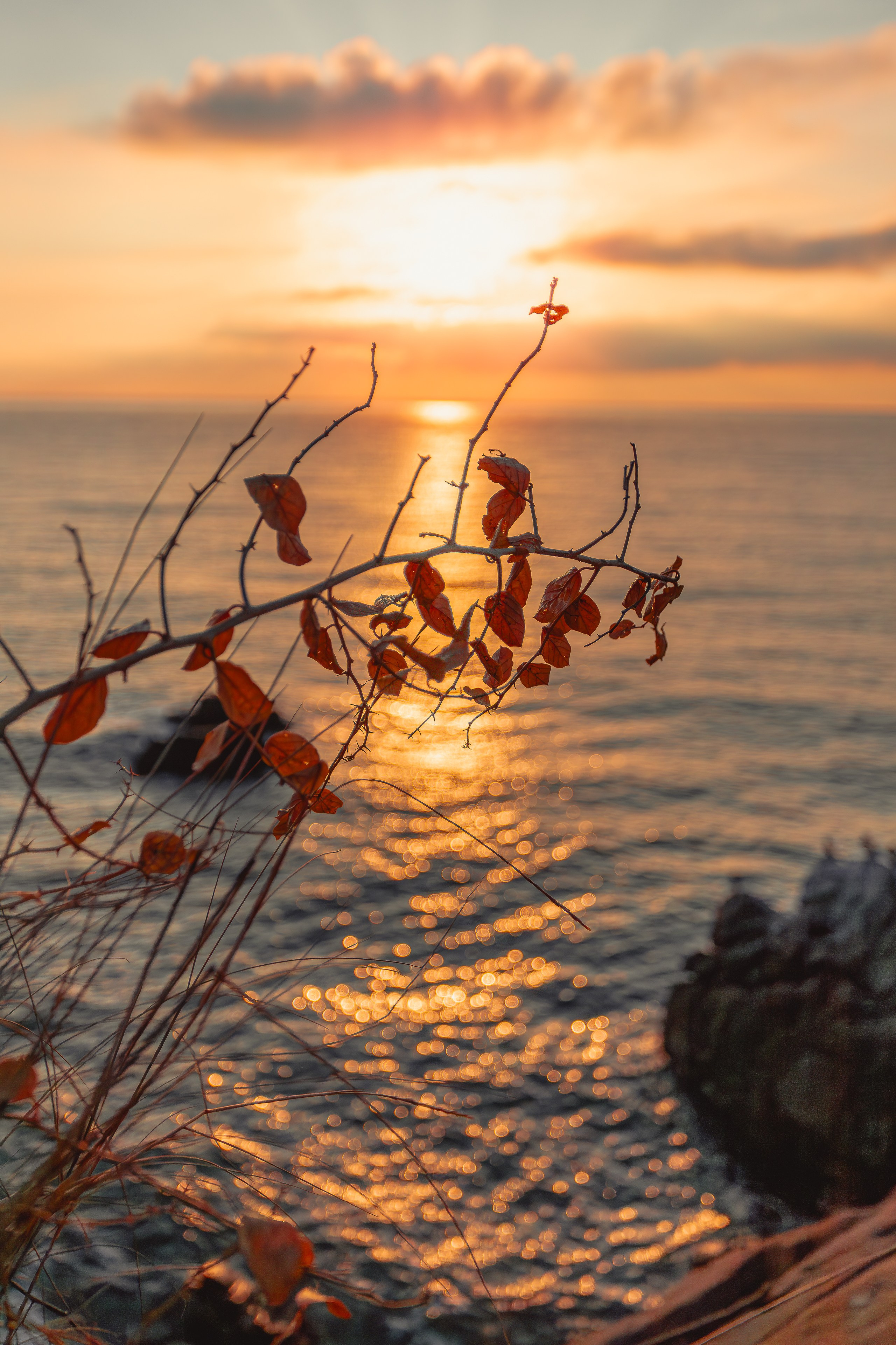 Пейзажная фотография. Фотошкола ArtFotoLife для начинающих и продвинутых фотографов