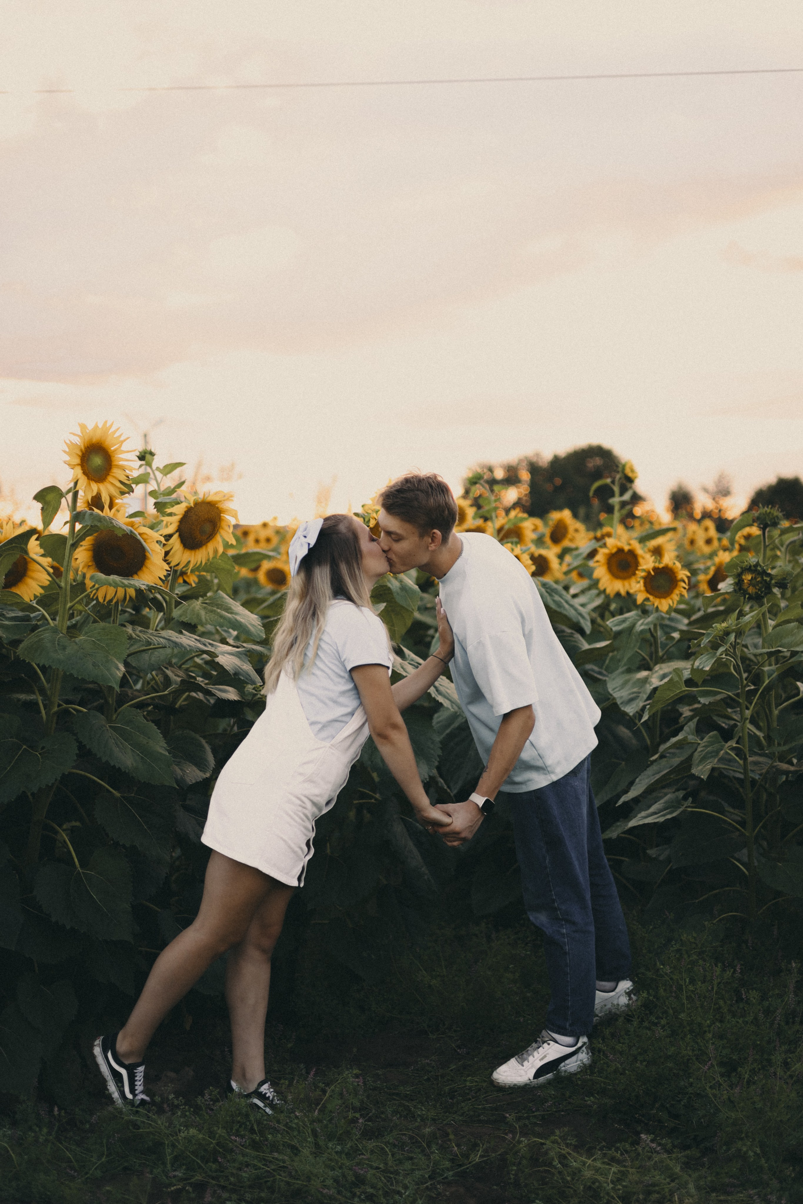 Михаил и Валерия | Подсолнухи. Фотограф Мария Лаенко