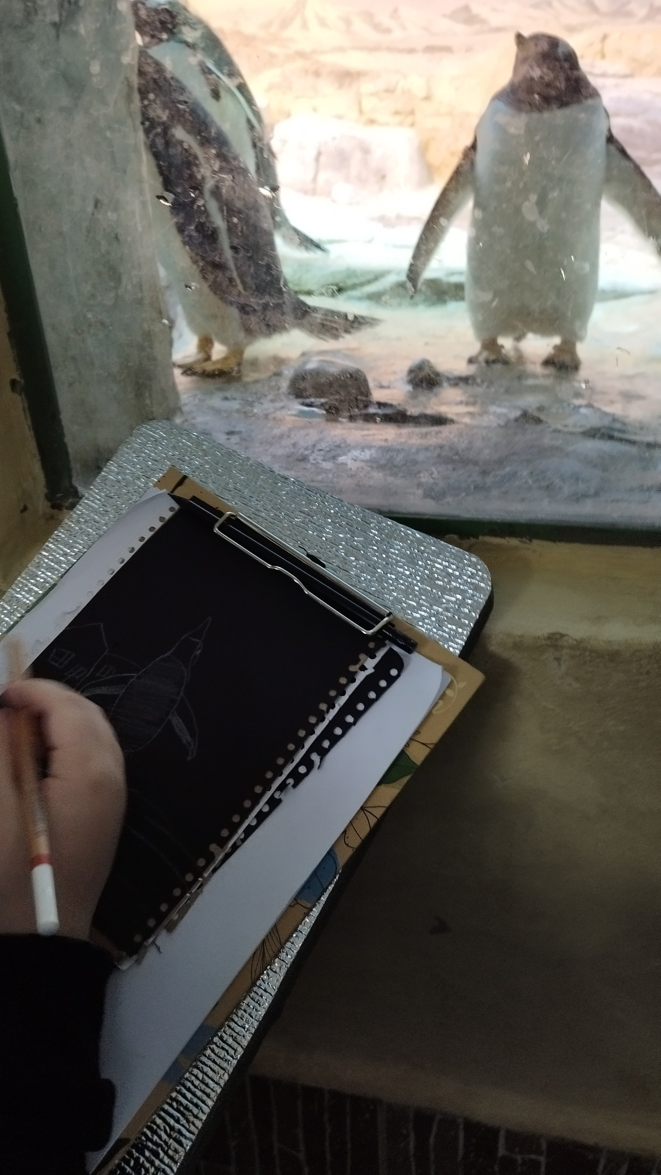 Летние каникулы с искусством: о нашем лагере