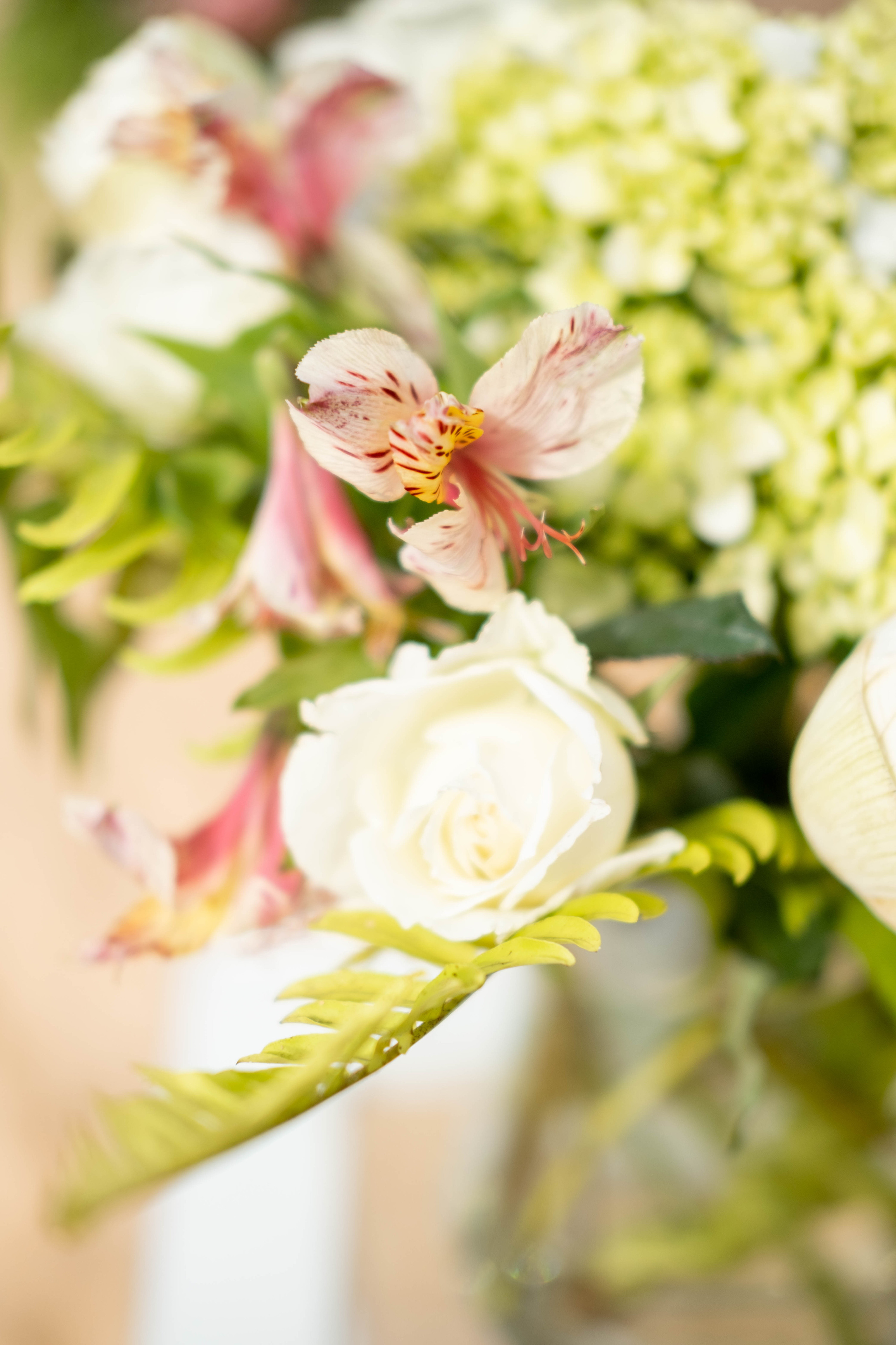 Wedding Story. Фотограф Дарья Гейер