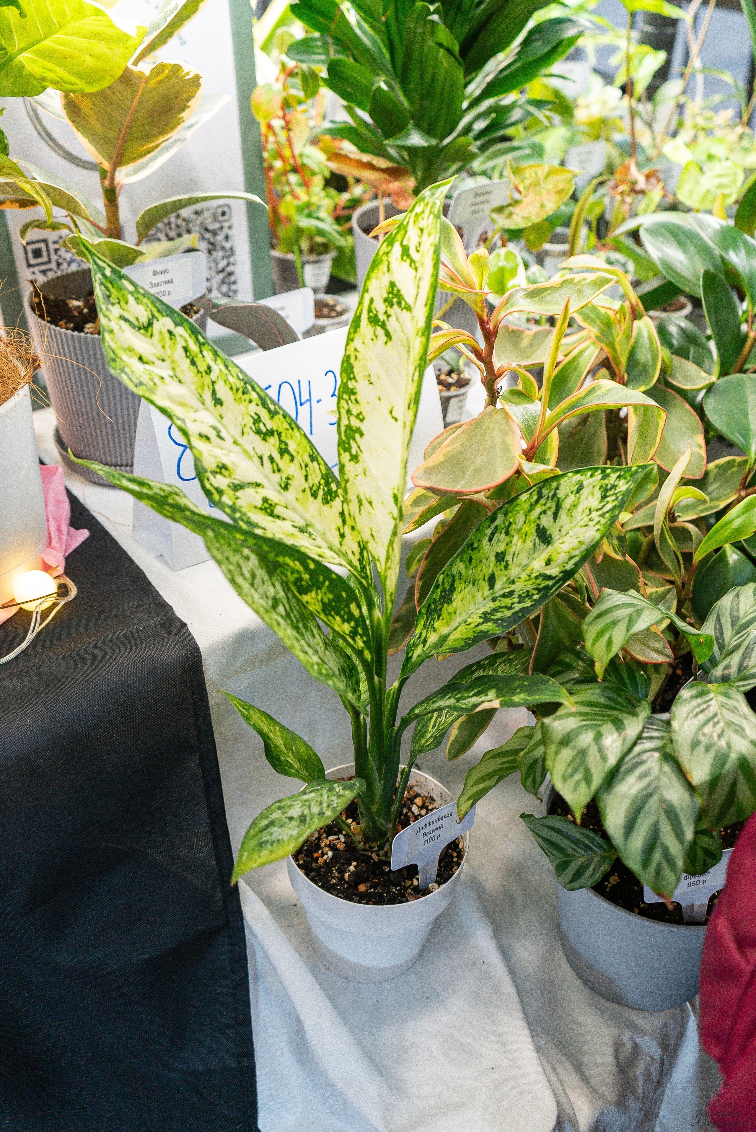 Гроубокс Артплей апрель. Александра Куликова фотограф, Москва