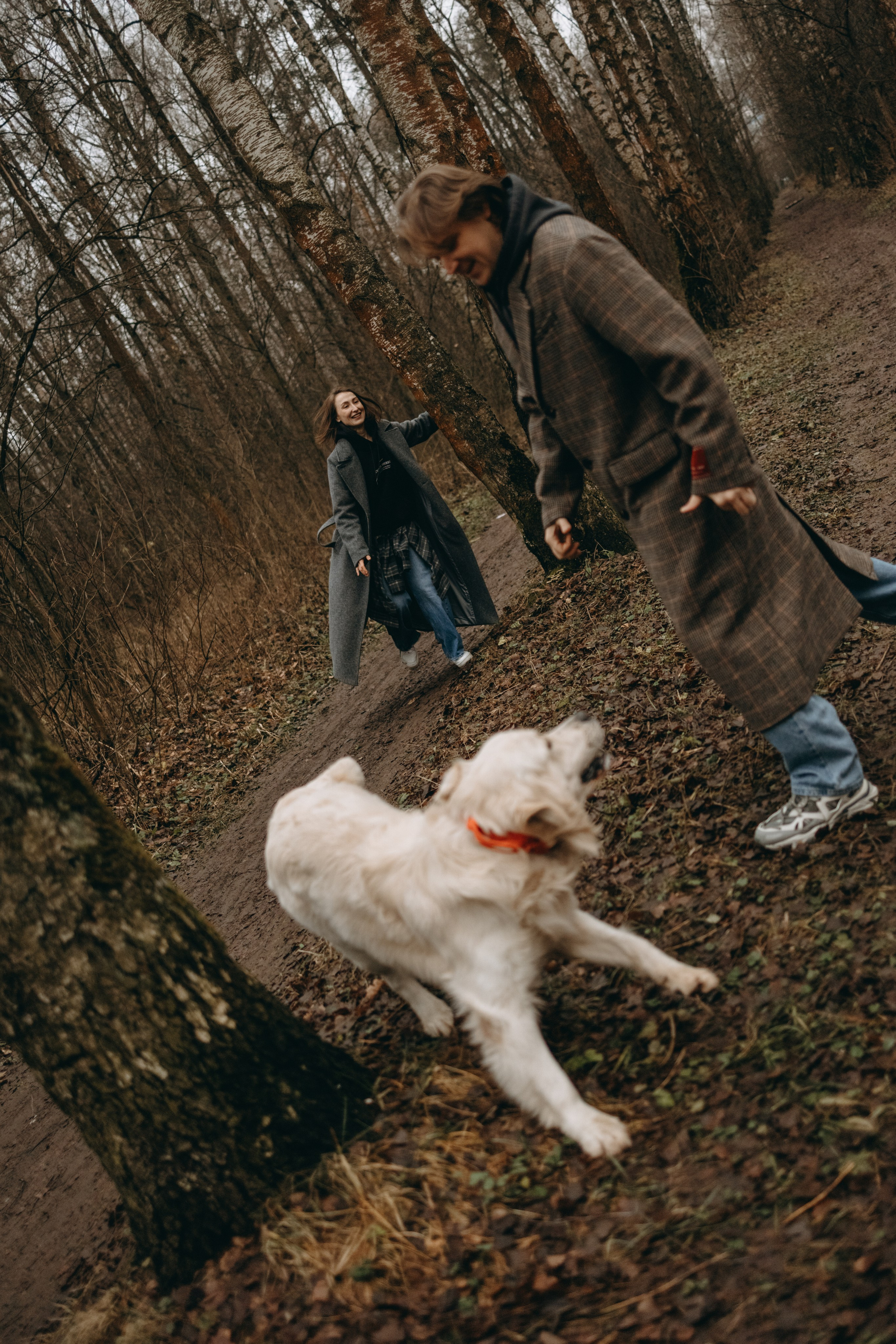 Лаки и его семья. Фотограф — Анималист | Санкт-Петербург