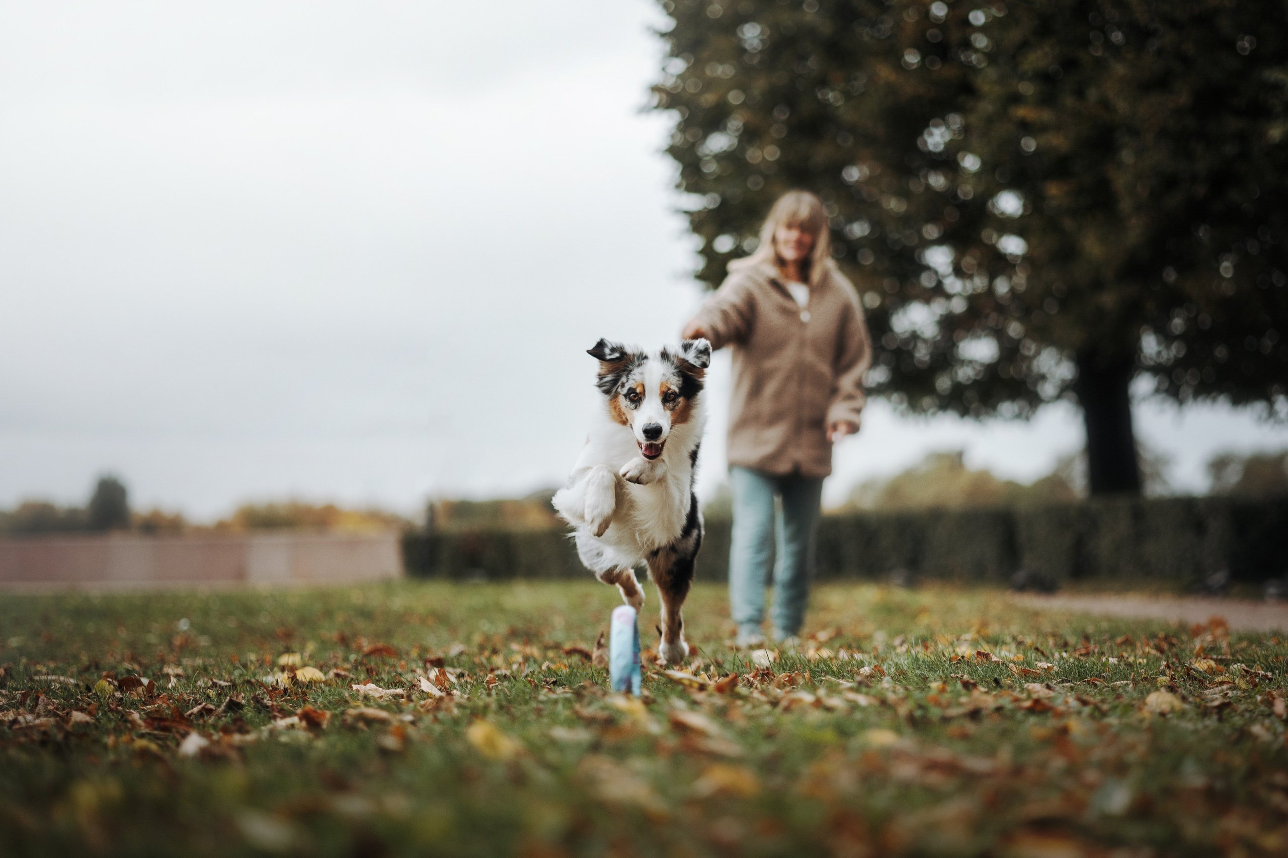 Ирина и Кайса. Фотограф — Анималист | Санкт-Петербург