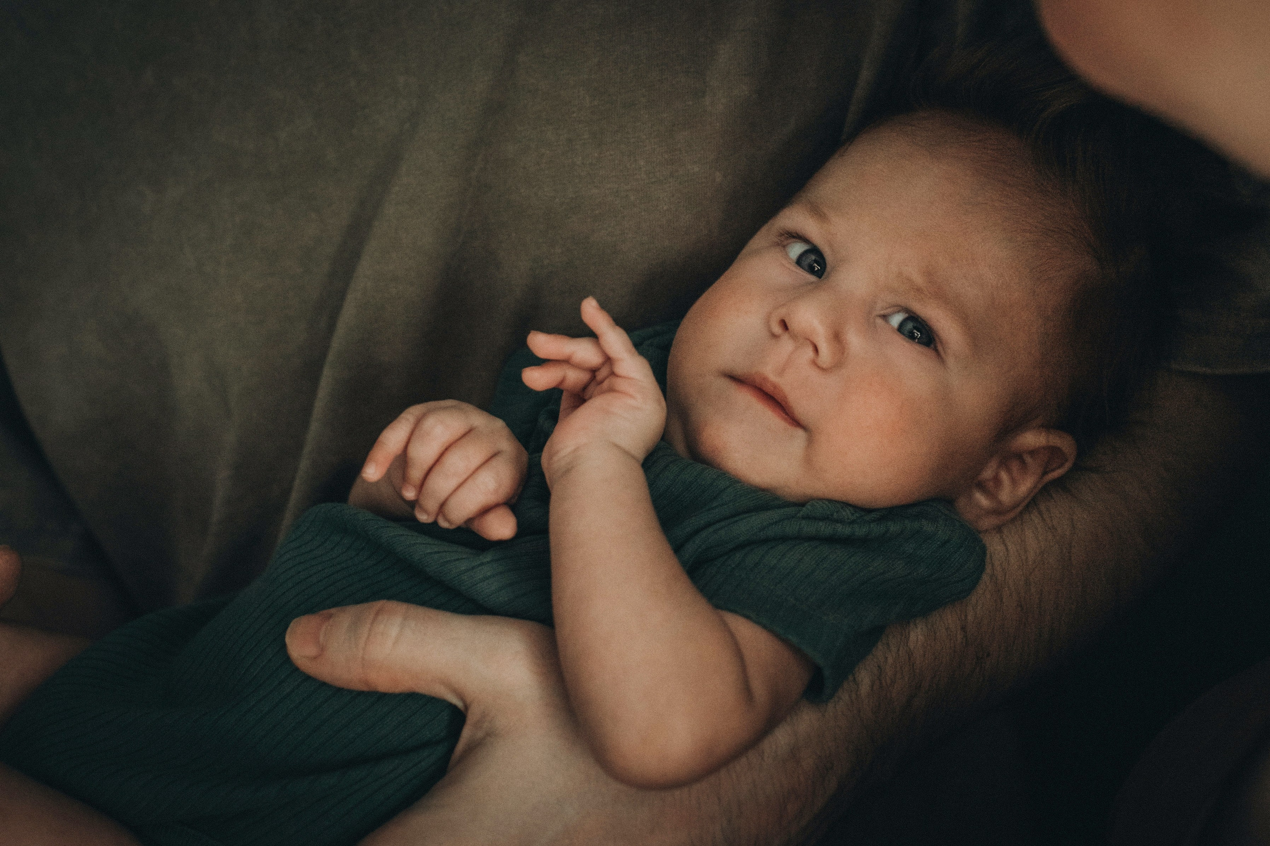 Глеб, Лиля, Андрей, Наташа. Семейный фотограф Томск