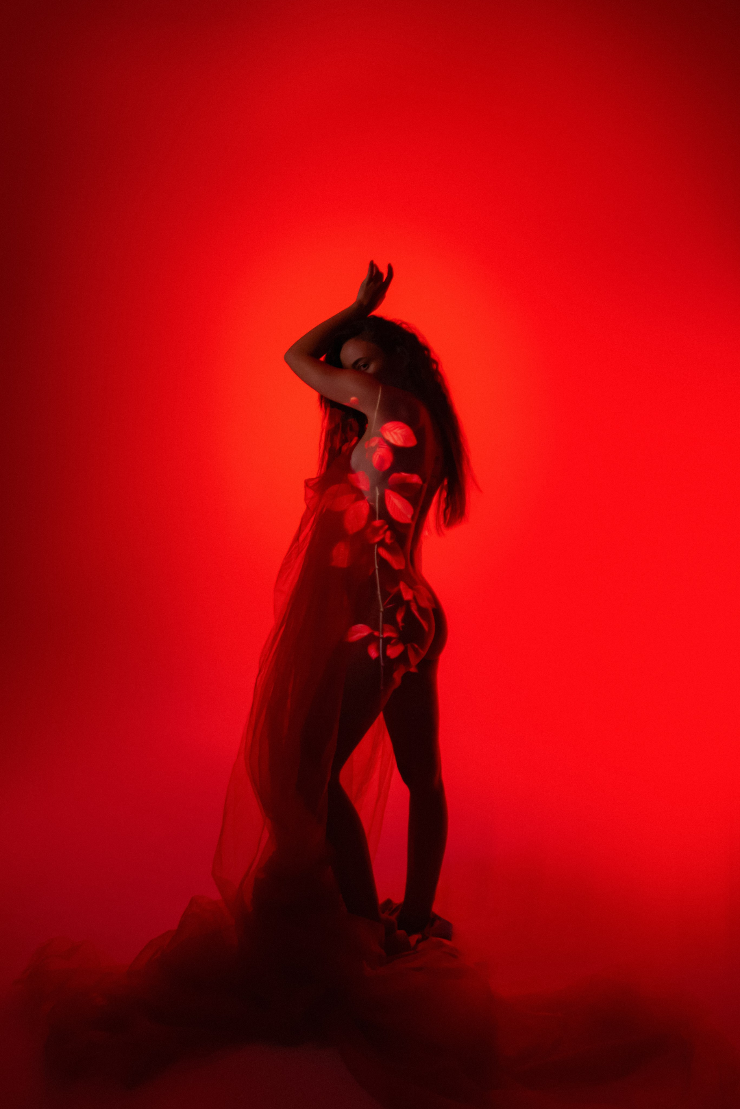 Цвет и свет