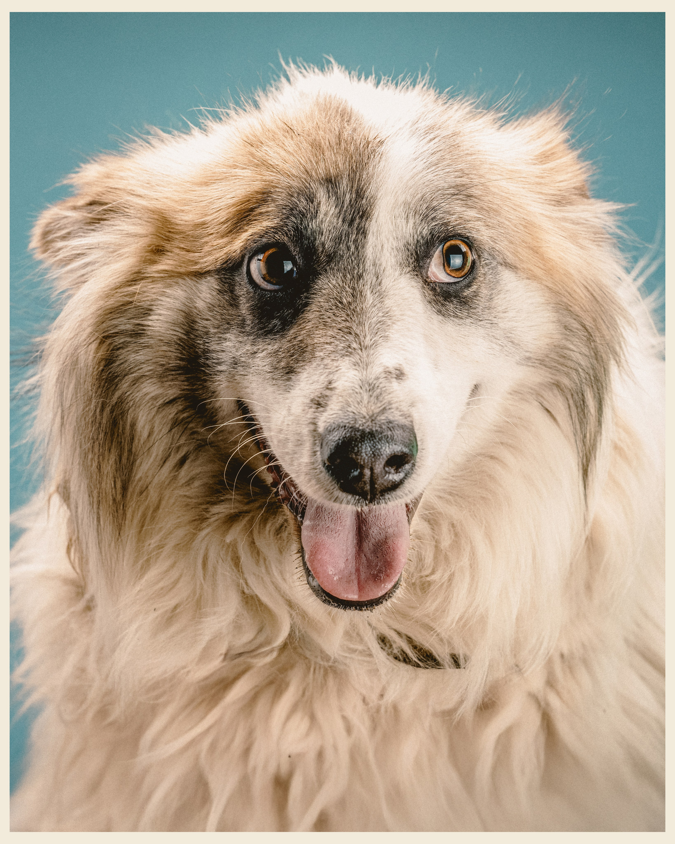 OM x VANO. Ivan Petrov photographer