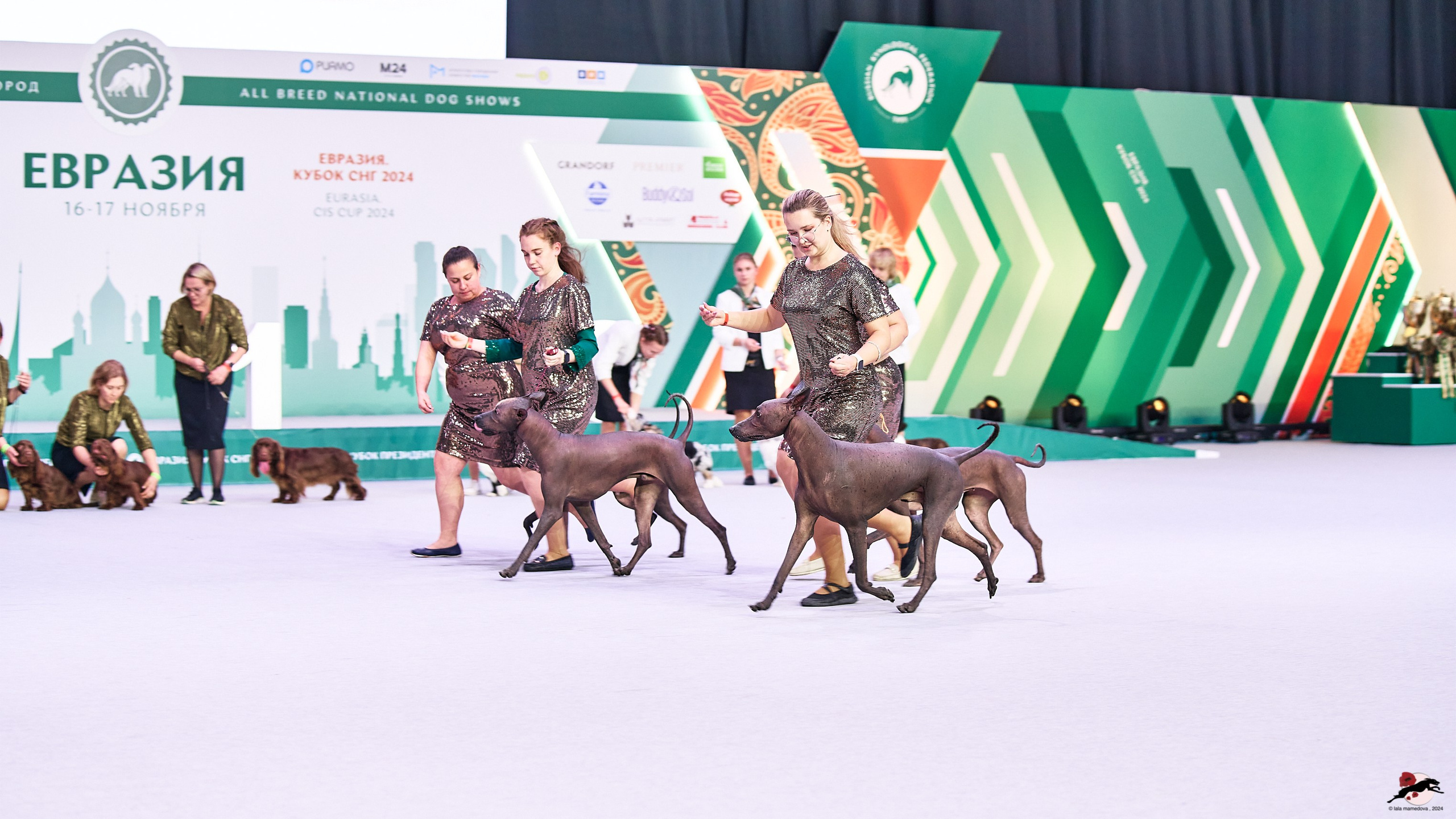 16.11.2024 «ЕВРАЗИЯ. КУБОК ПРЕЗИДЕНТА РКФ 2024»