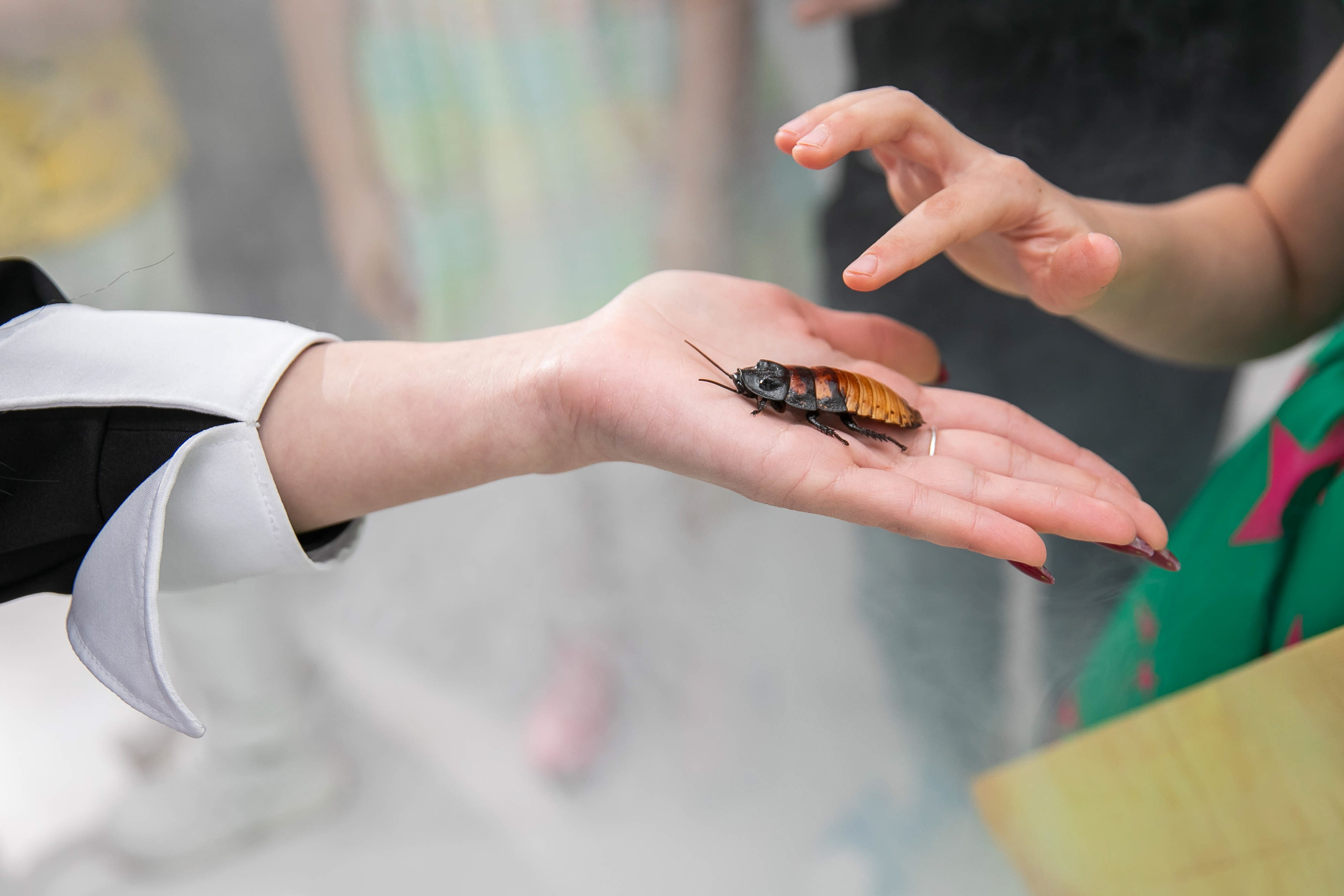 День рождения в стиле «Уэнсдэй». NesterovaMaria.ru