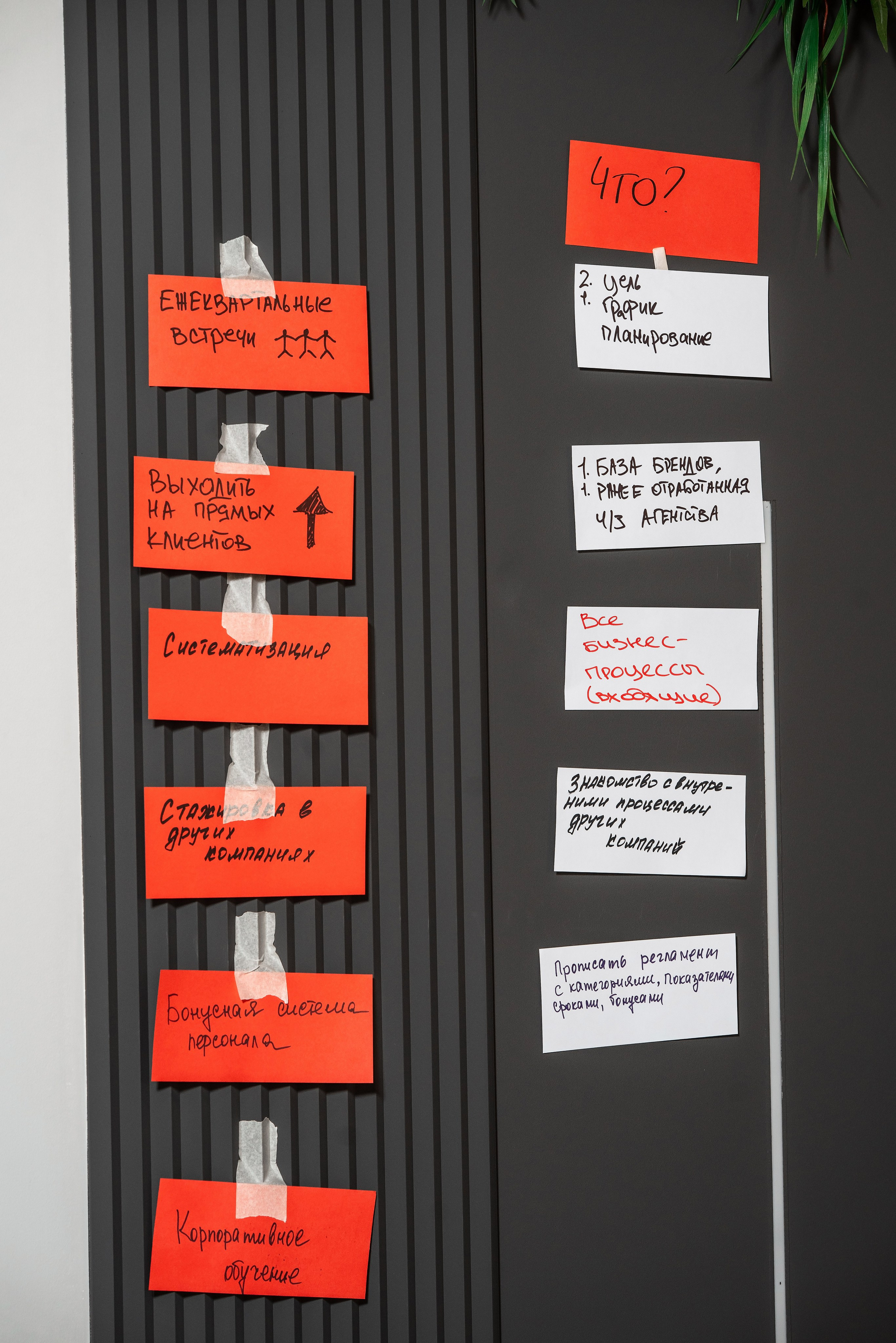 Фотограф репортаж кейтеринг Сочи. Фотограф Сочи