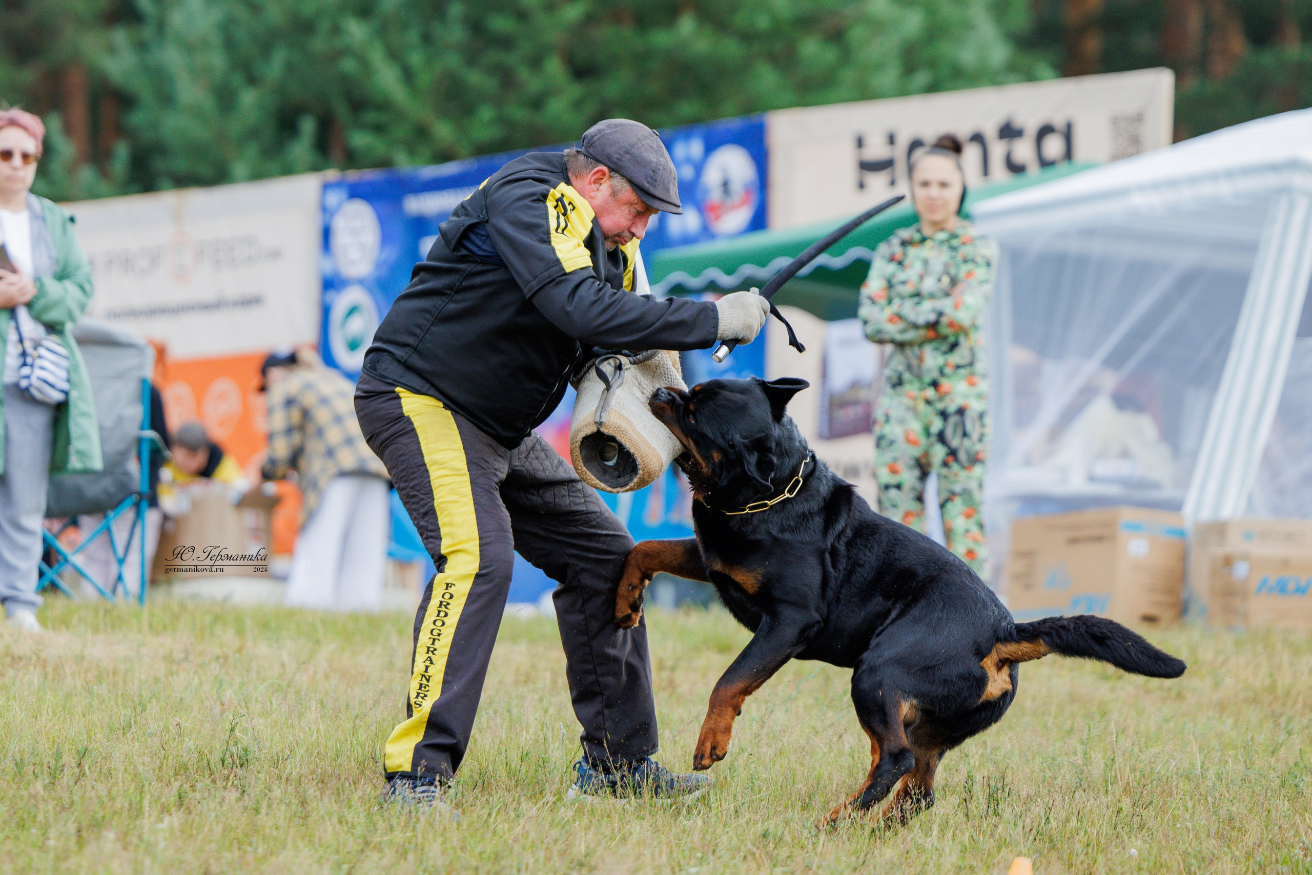 ПК и КЧК ротвейлеры Тверь 6-7.07.2024. Фотограф-анималист Юлия Германика