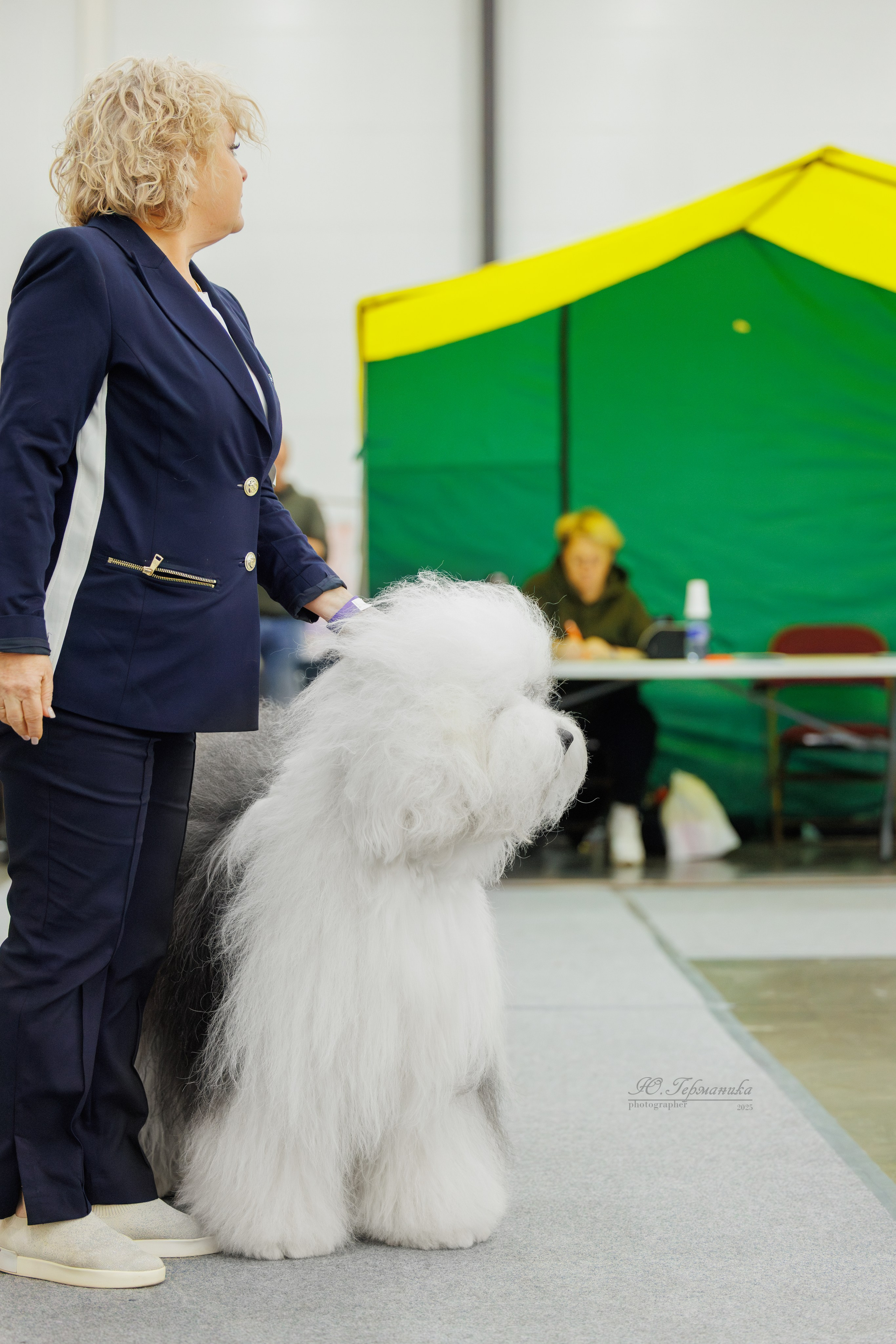 Питер 12-13.12.2025. Фотограф-анималист Юлия Германика