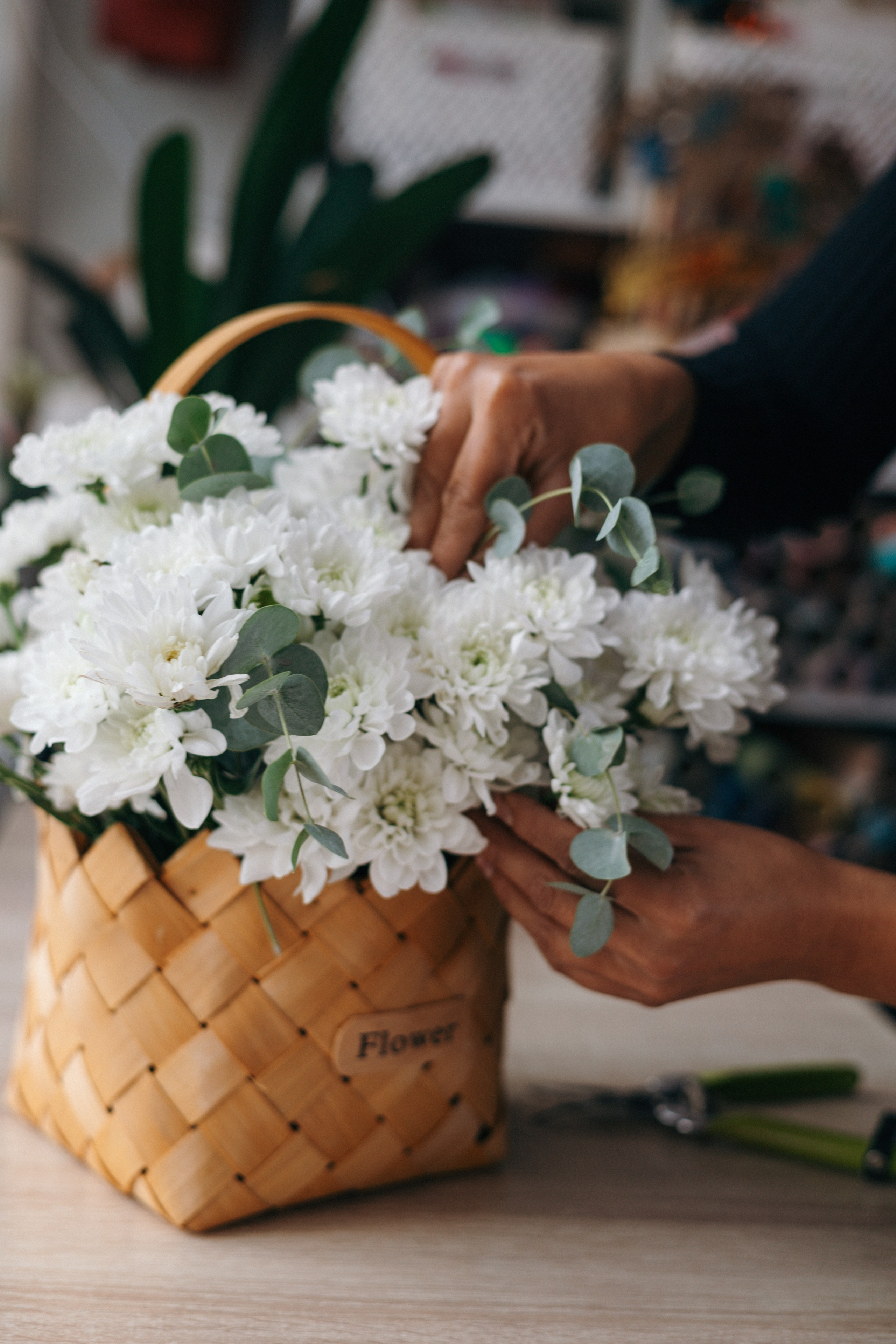 Кейс магазин цветов. Ваш фотограф