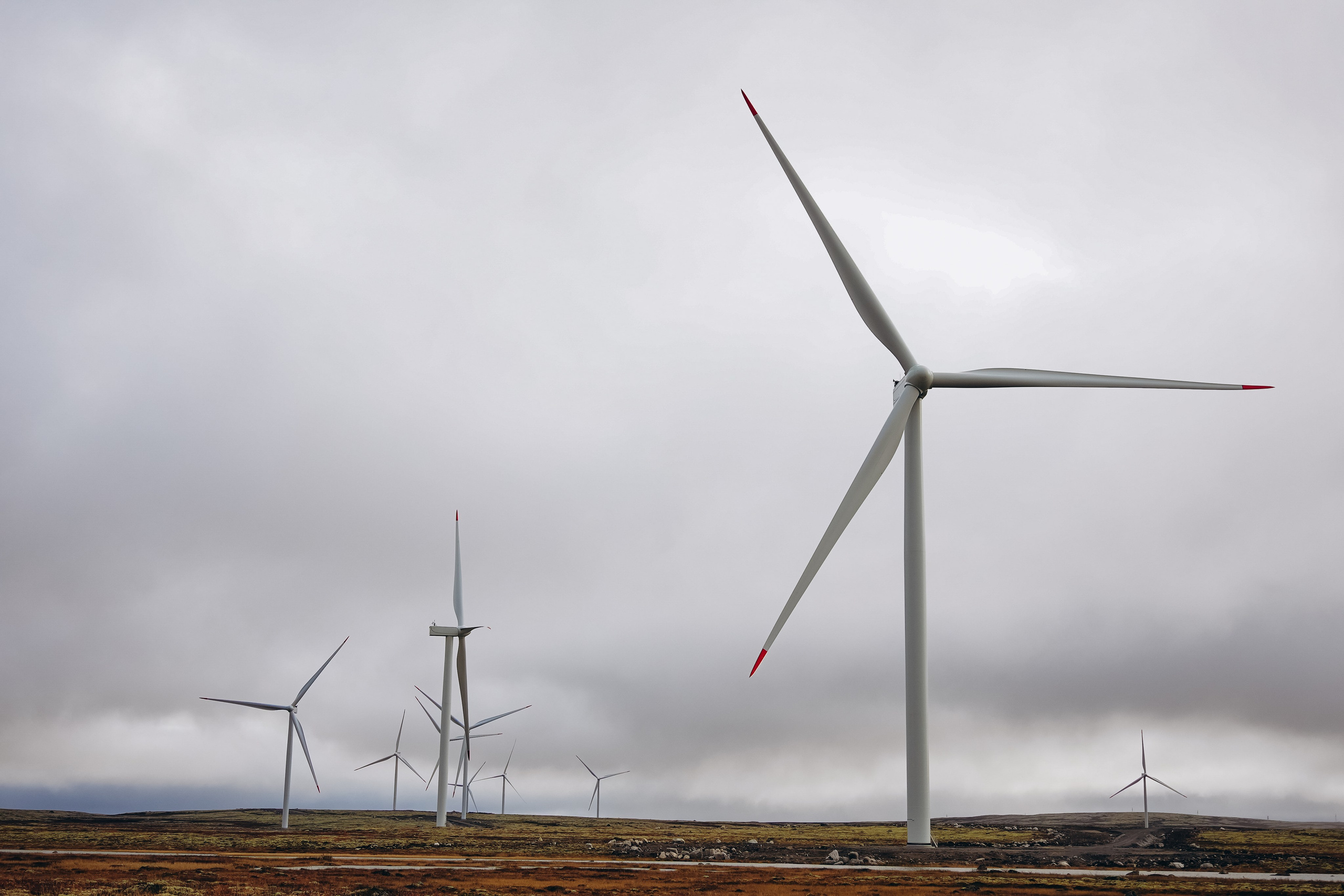 СЕВЕР. Event фотограф Степанова Александра